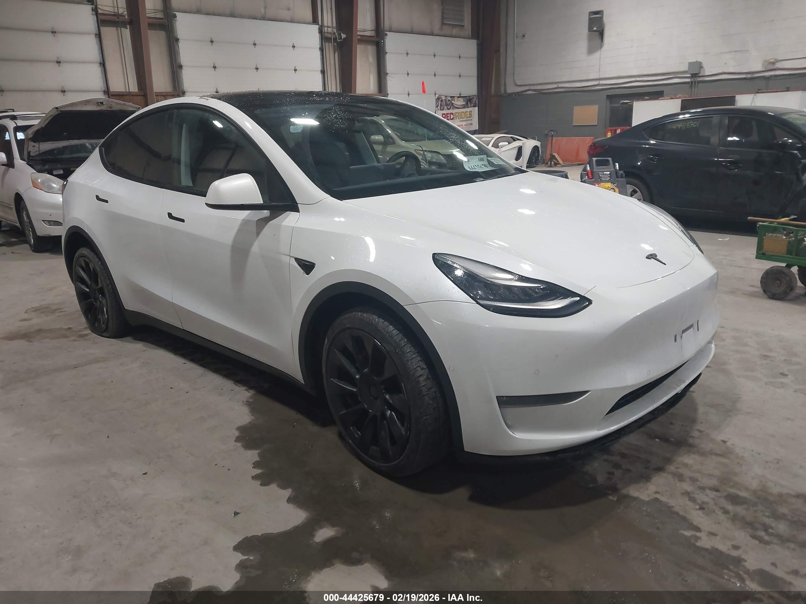 2020 Tesla Model Y VIN 5YJYGDEE3LF041710 — IAAI salvage auction photo