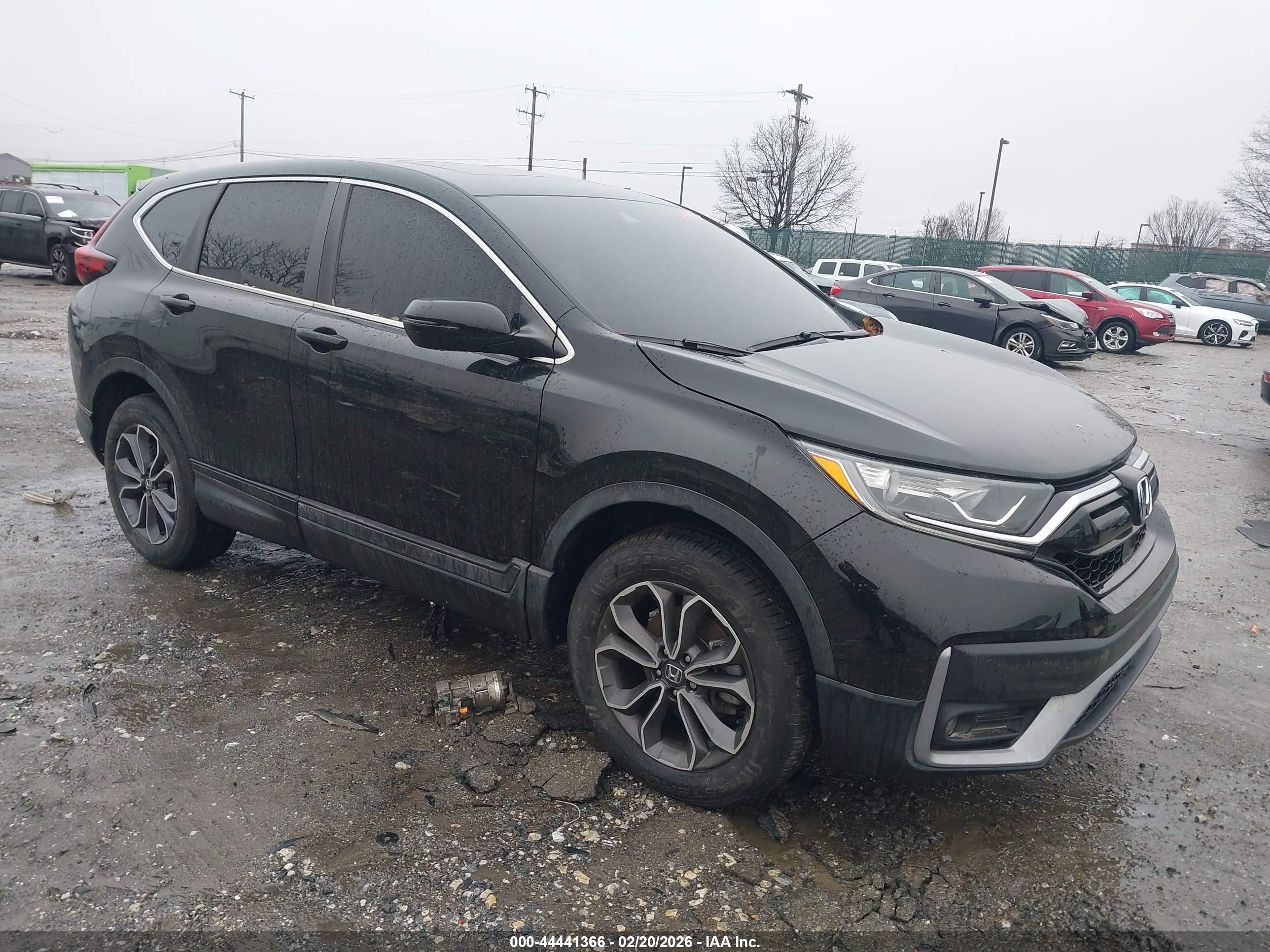 2020 Honda CR-V VIN 2HKRW2H83LH625687 — IAAI salvage auction photo