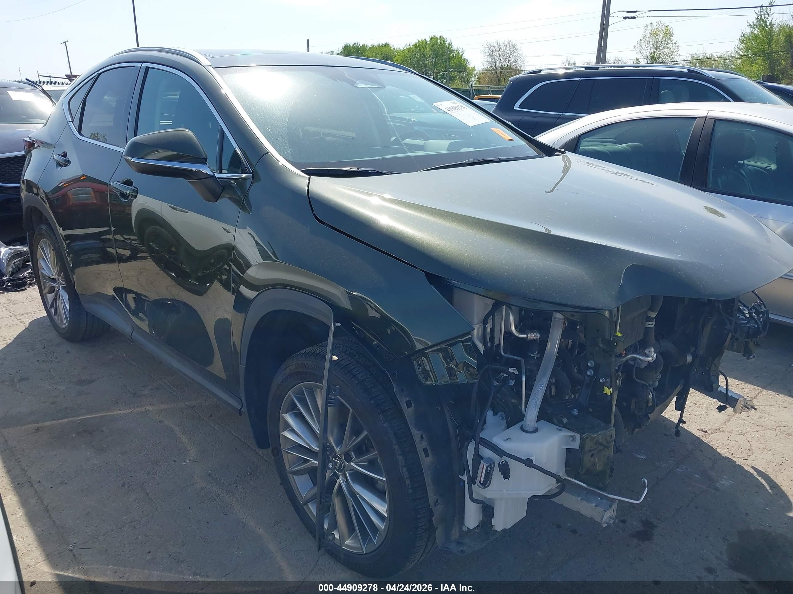 2024 Lexus NX 350 VIN 2T2HGCEZ5RC038670 — IAAI salvage auction photo