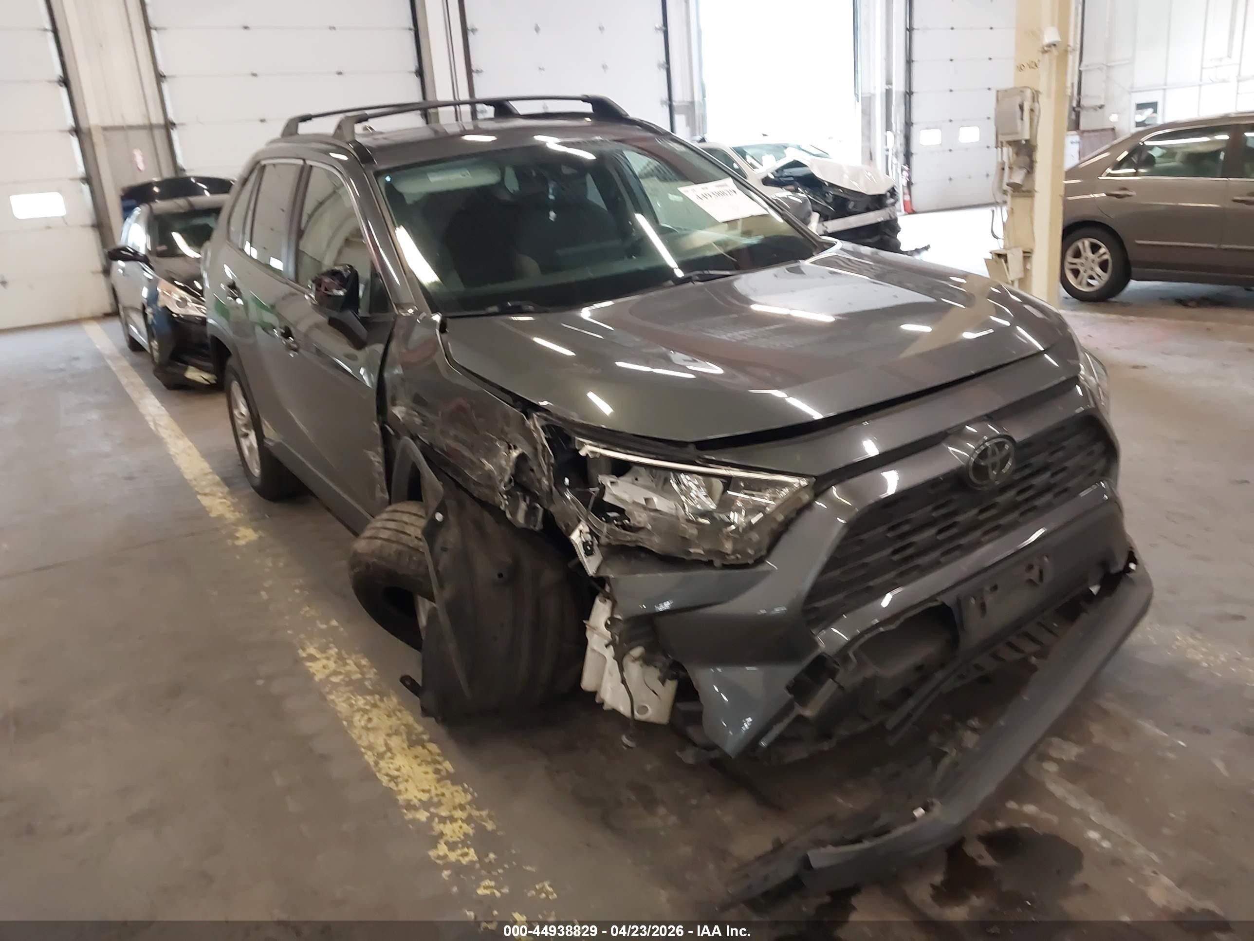 2019 Toyota RAV4 VIN JTMP1RFV3KD523060 — IAAI salvage auction photo