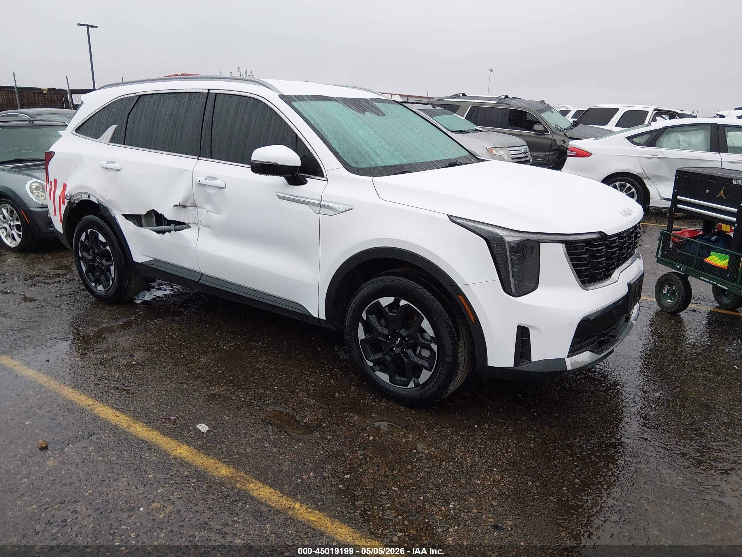 2024 Kia Sorento VIN 5XYRLDJC1RG283191 — IAAI salvage auction photo