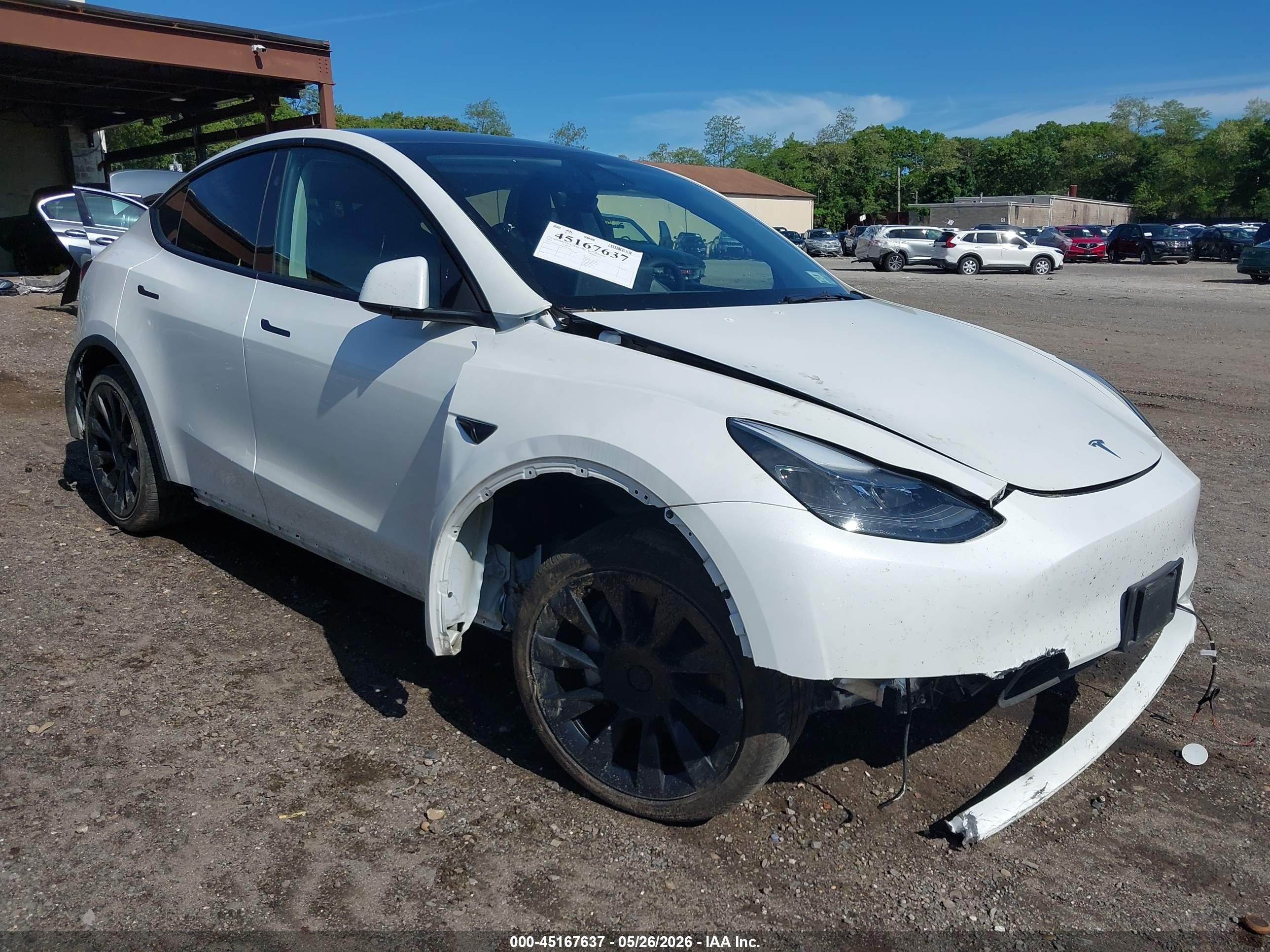 2023 Tesla Model Y VIN 7SAYGDED1PF915696 — IAAI salvage auction photo