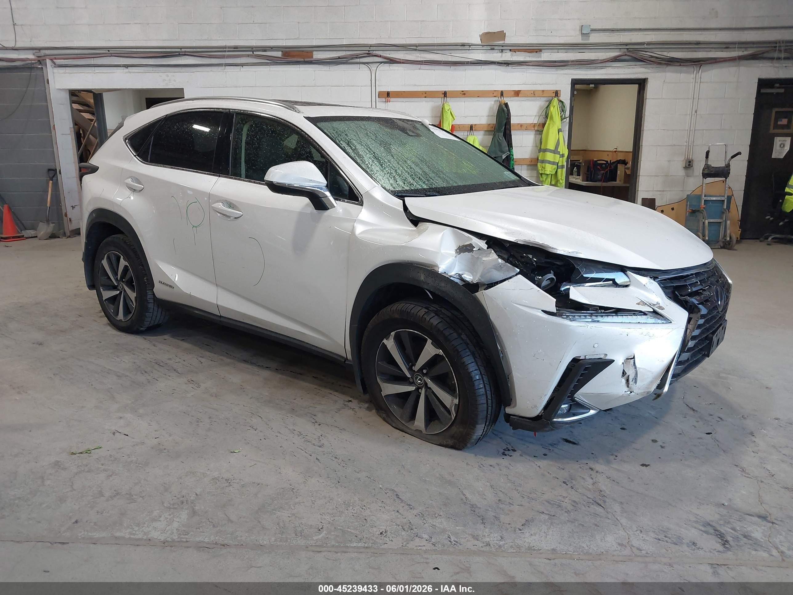 2020 Lexus NX 300h VIN JTJGJRDZ4L5008485 — IAAI salvage auction photo