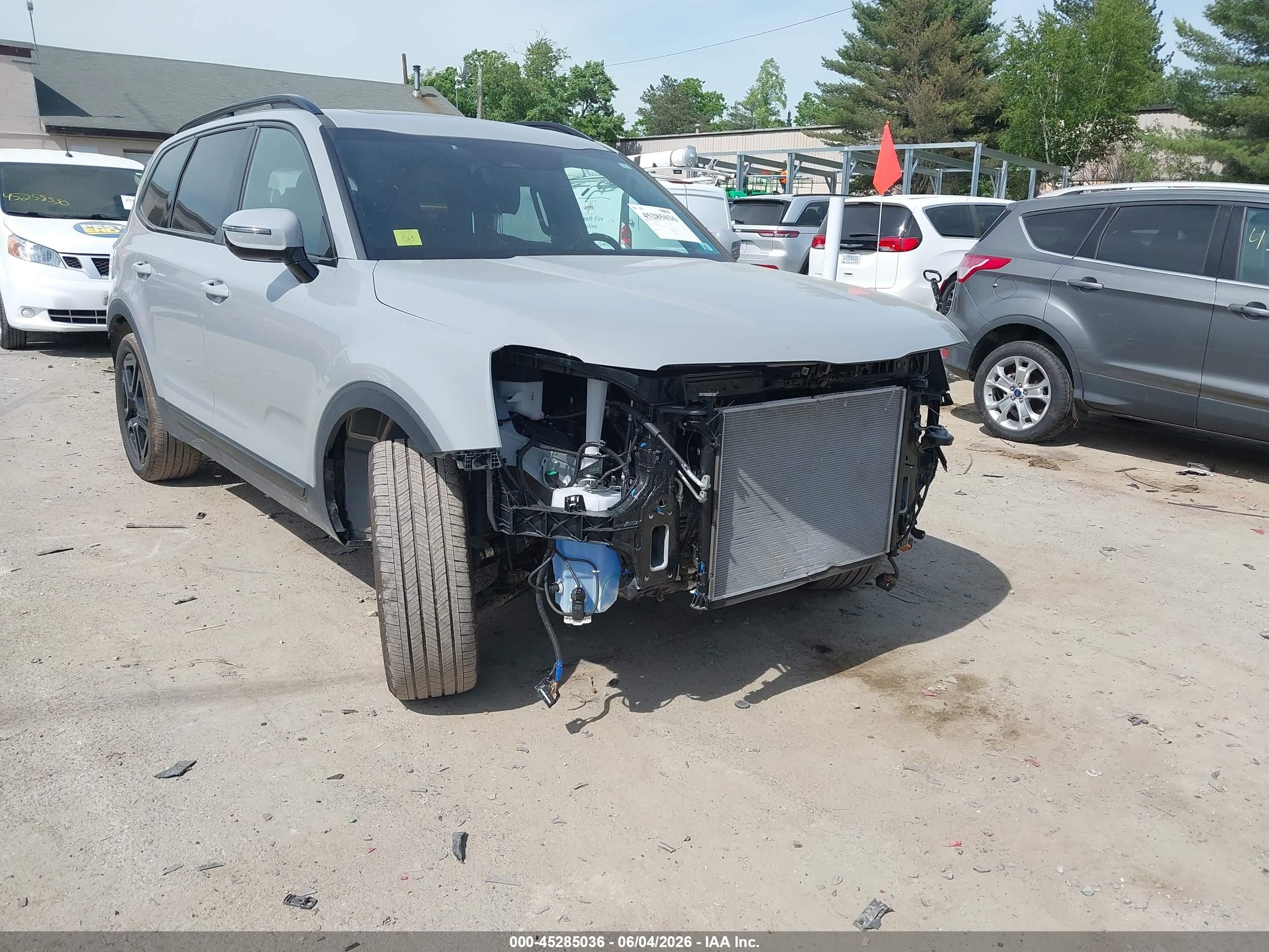 2025 Kia Telluride VIN 5XYP5DGC9SG697303 — IAAI salvage auction photo
