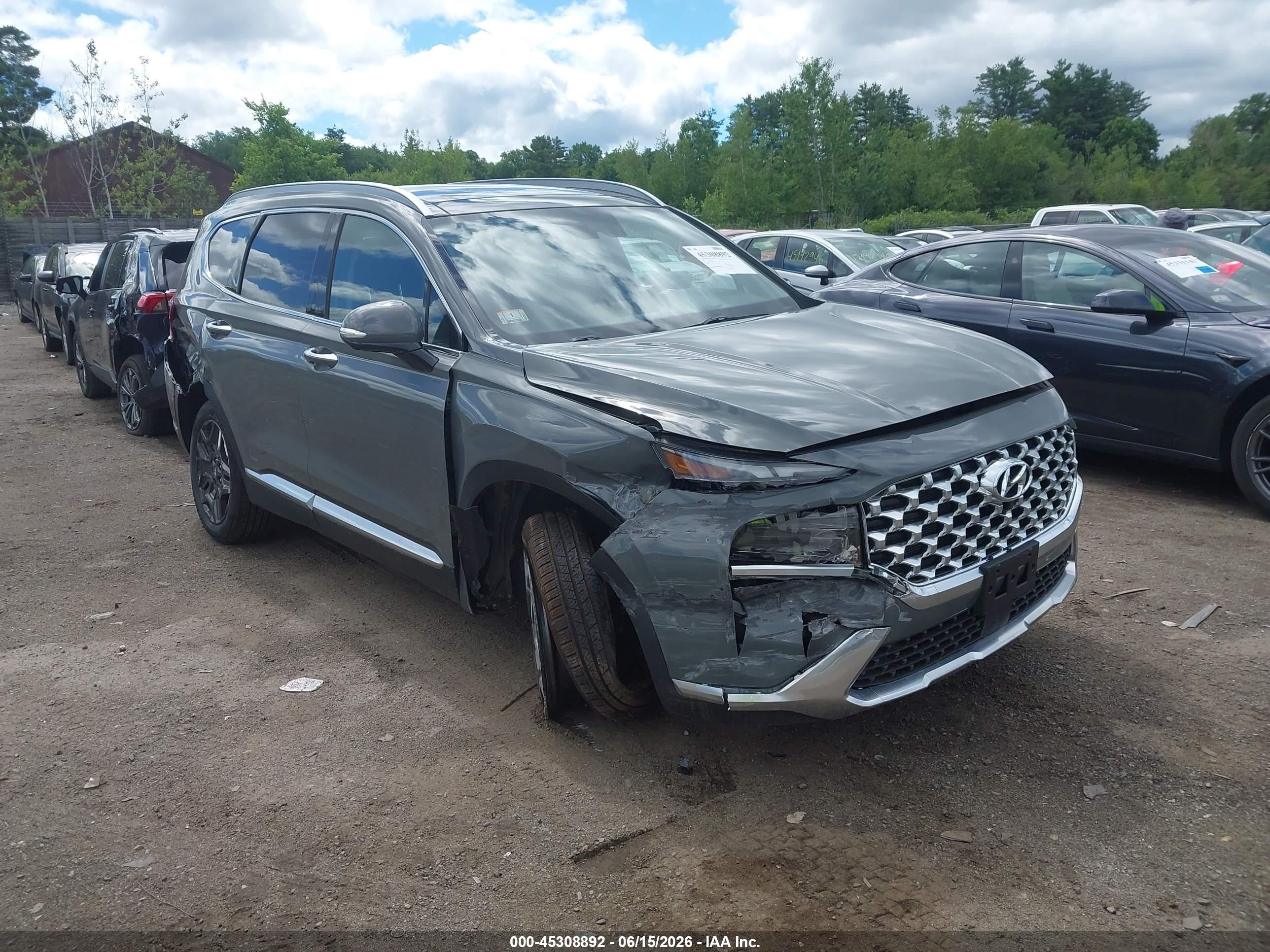 2023 Hyundai Santa Fe Hybrid VIN 5NMS3DA11PH016068 — IAAI salvage auction photo