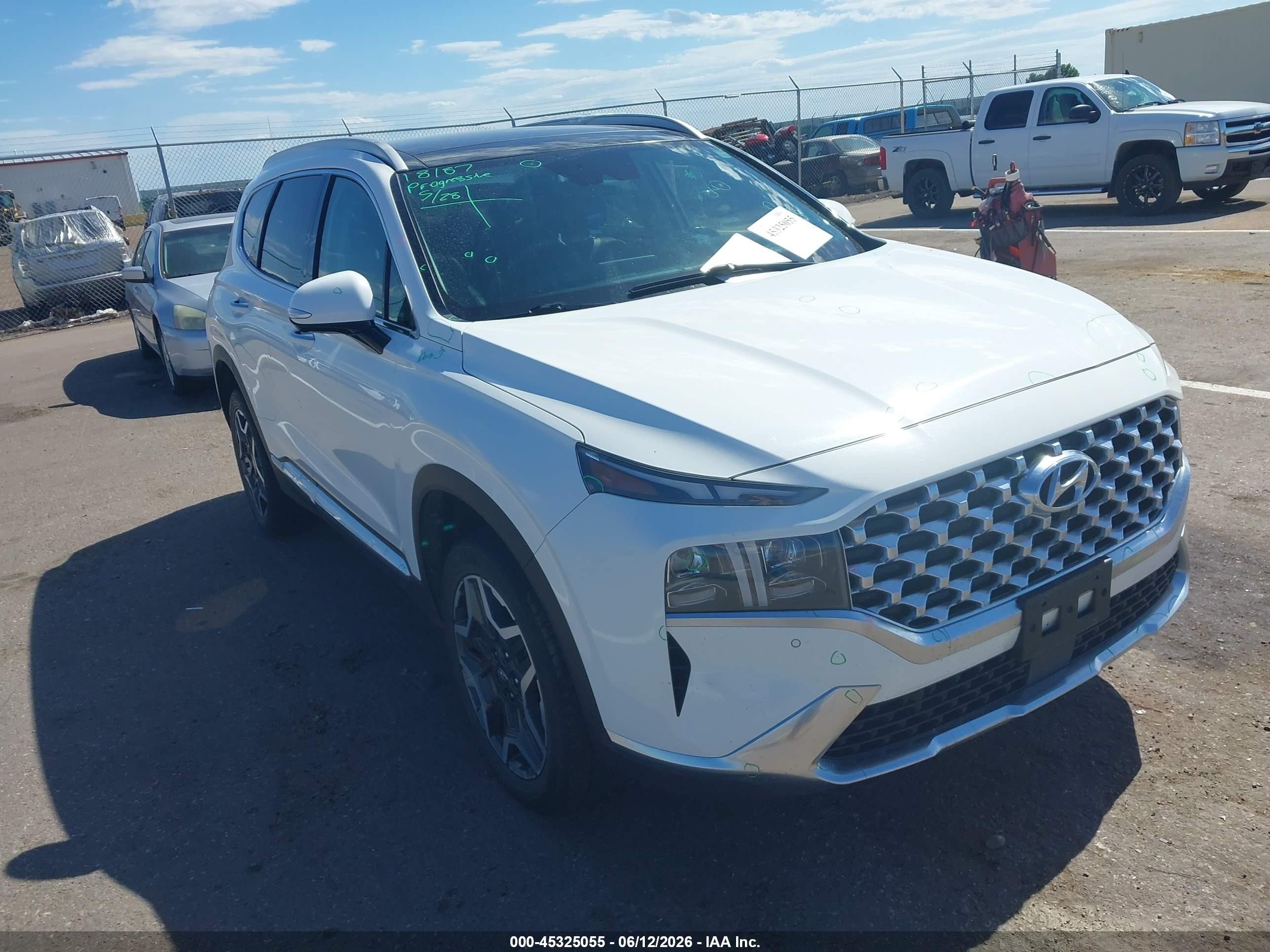 2023 Hyundai Santa Fe VIN 5NMS4DAL7PH533079 — IAAI salvage auction photo