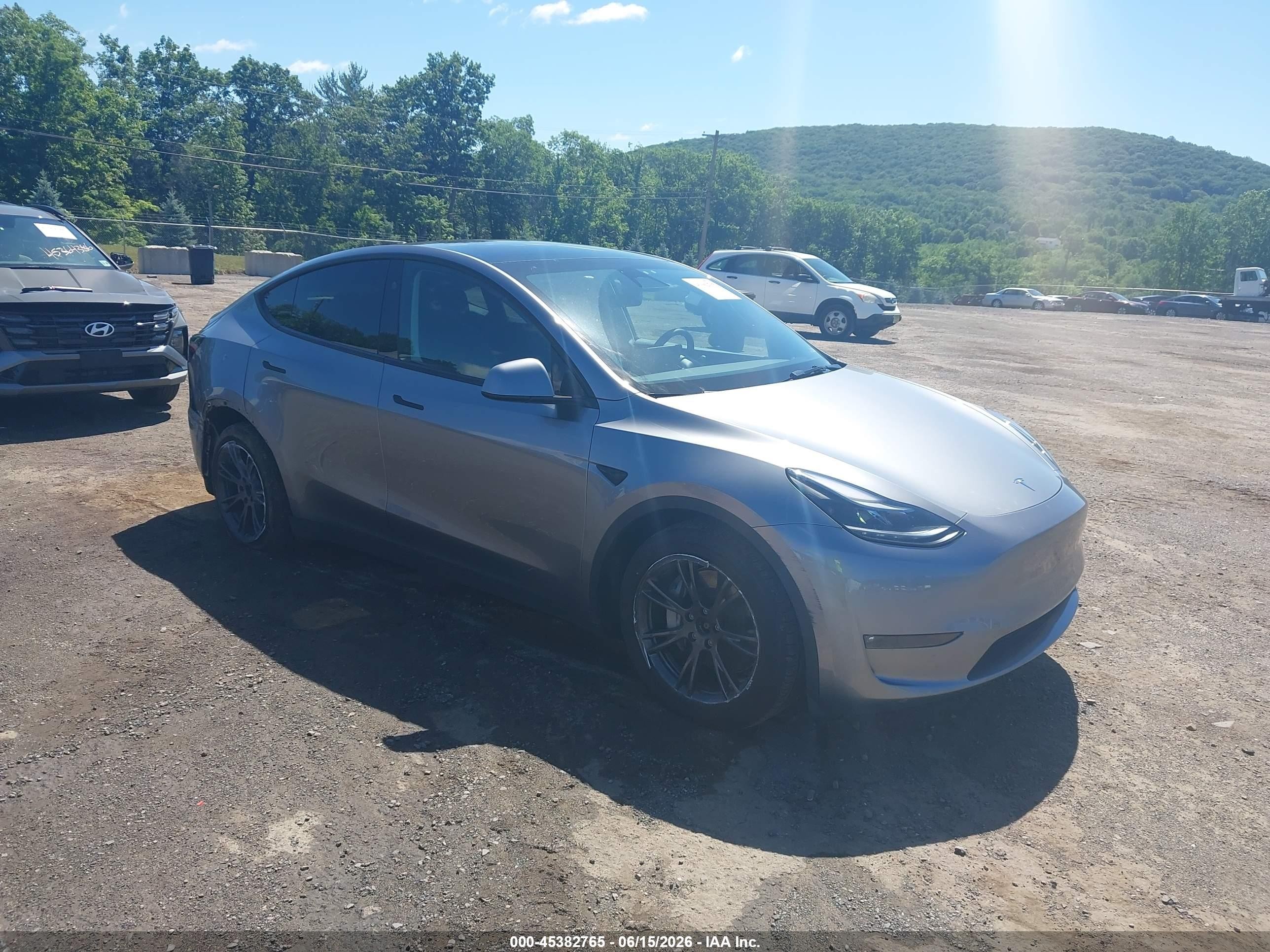 2025 Tesla Model Y VIN 7SAYGDEE1SF293649 — IAAI salvage auction photo
