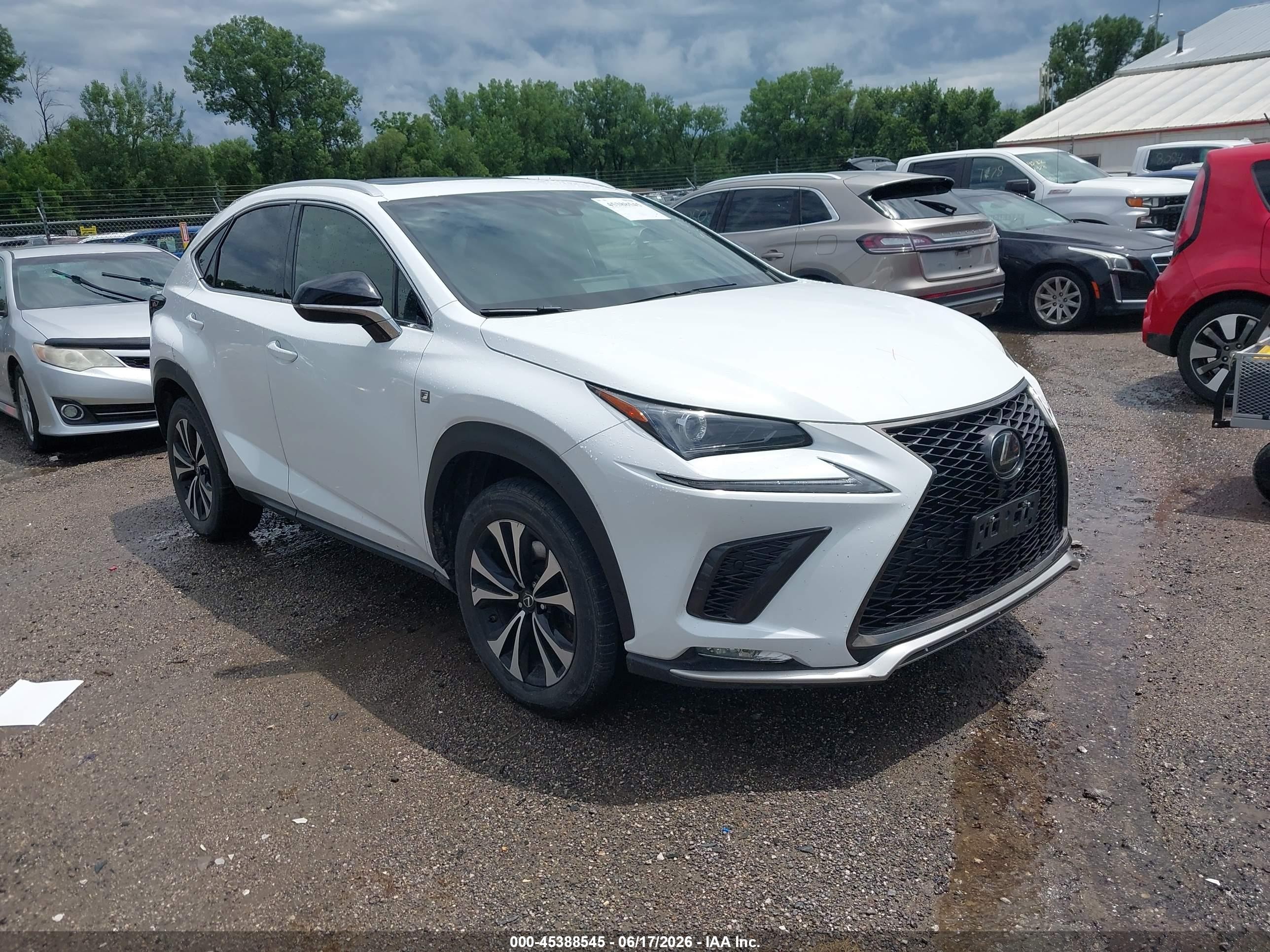 2019 Lexus NX 300 VIN JTJBARBZ3K2179113 — IAAI salvage auction photo