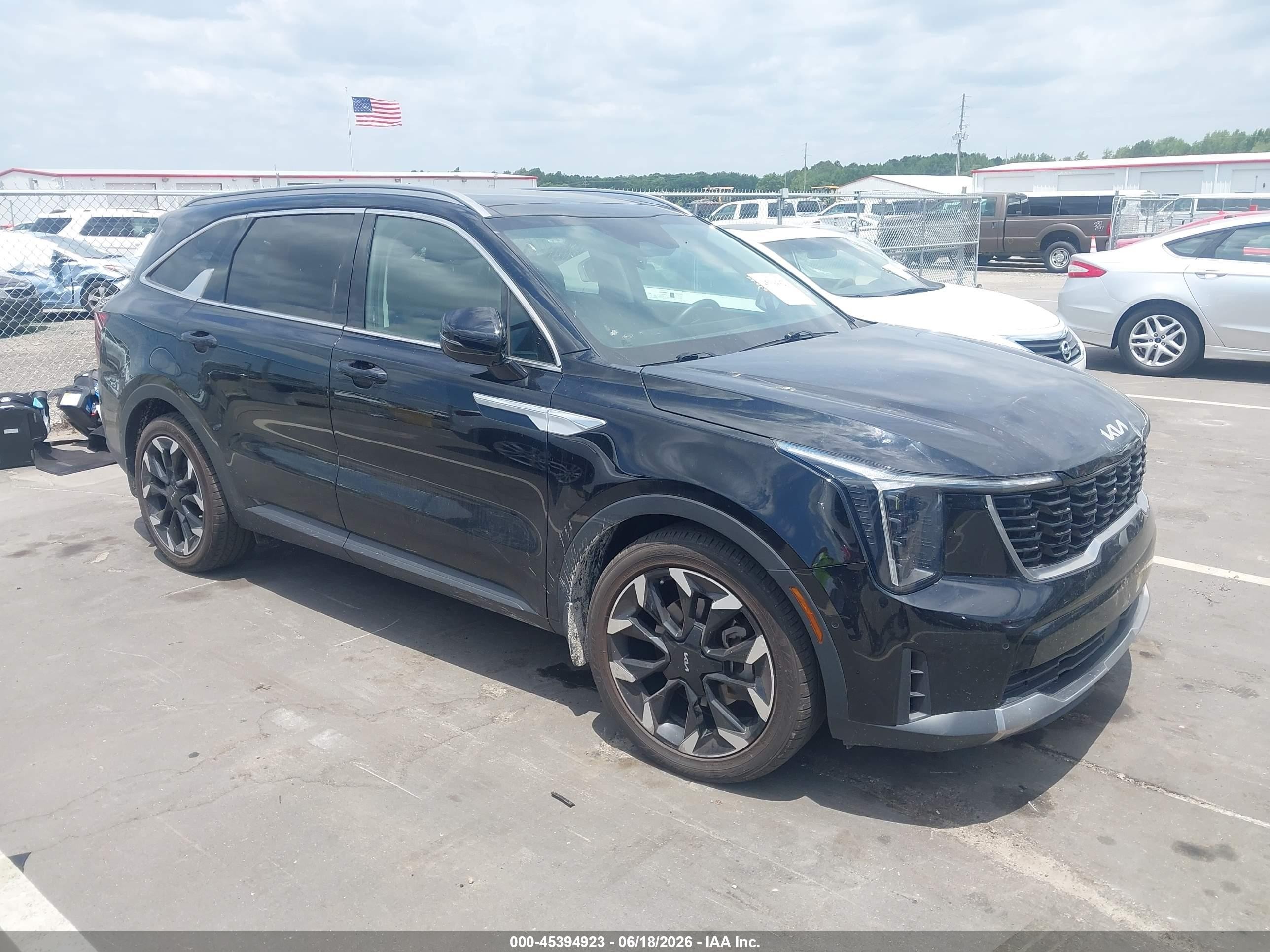 2024 Kia Sorento VIN 5XYRK4JFXRG254687 — IAAI salvage auction photo