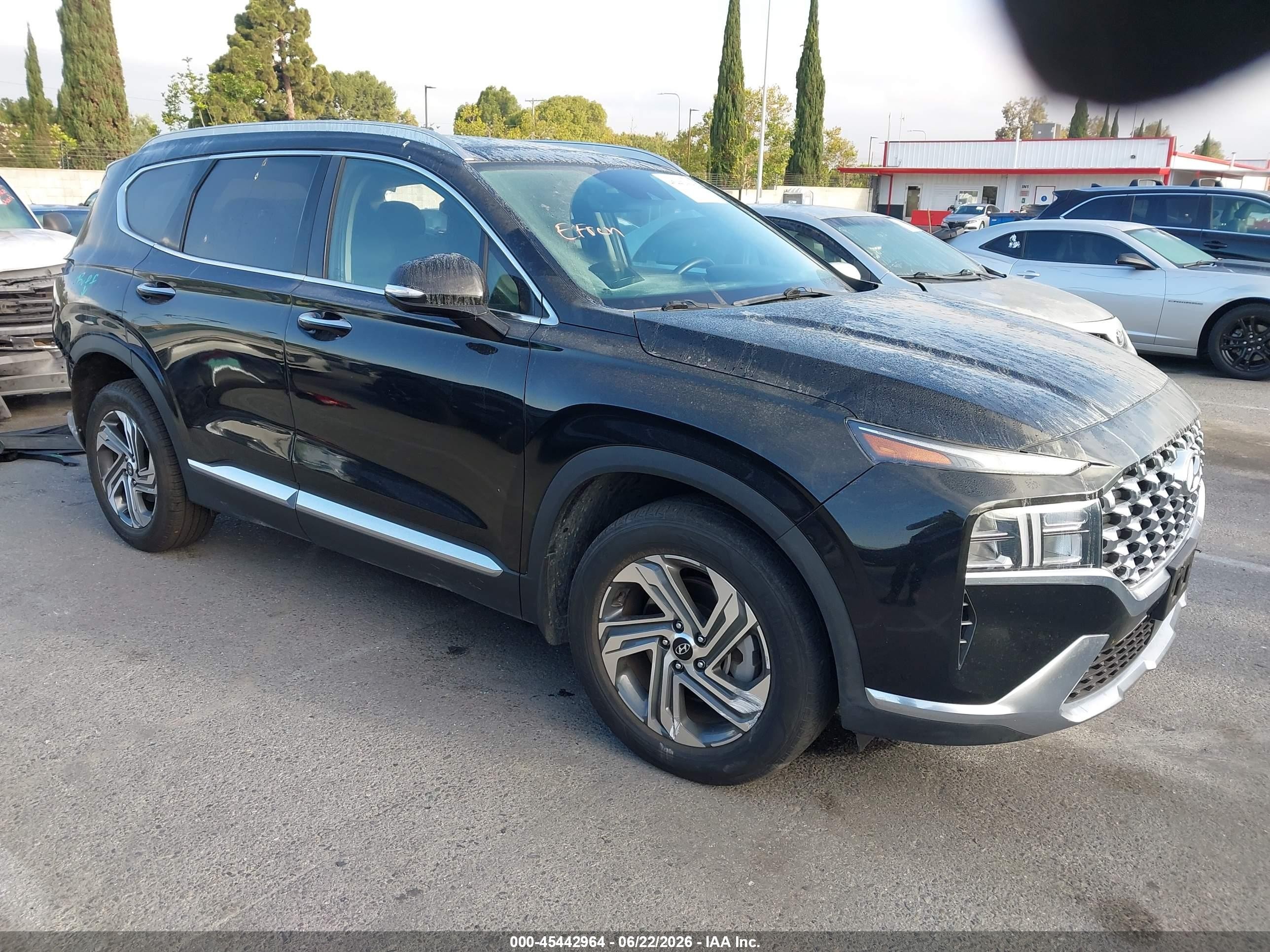 2023 Hyundai Santa Fe VIN 5NMS34AJ0PH601031 — IAAI salvage auction photo