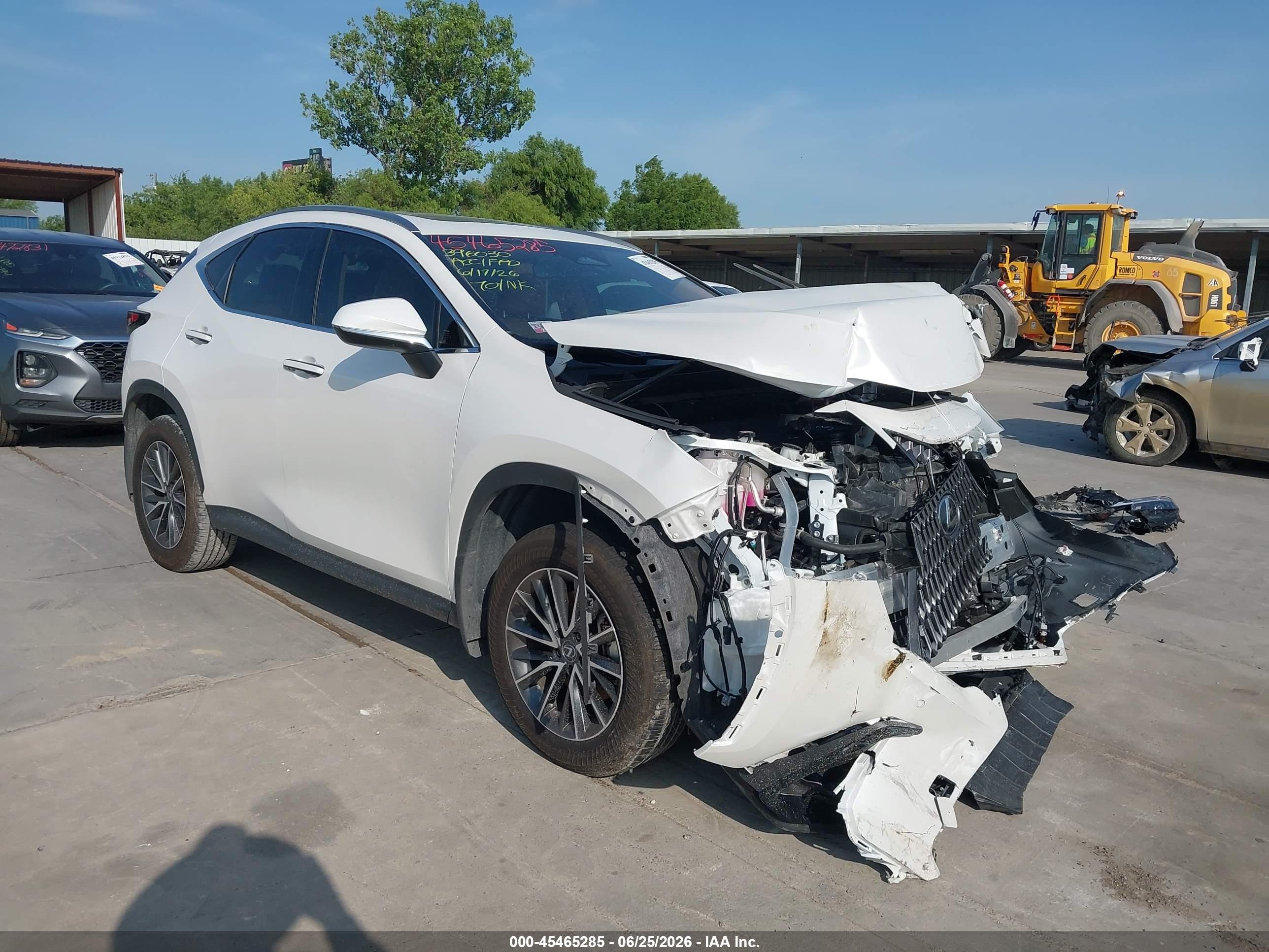 2025 Lexus NX 350h VIN JTJGKCEZ1S5031164 — IAAI salvage auction photo