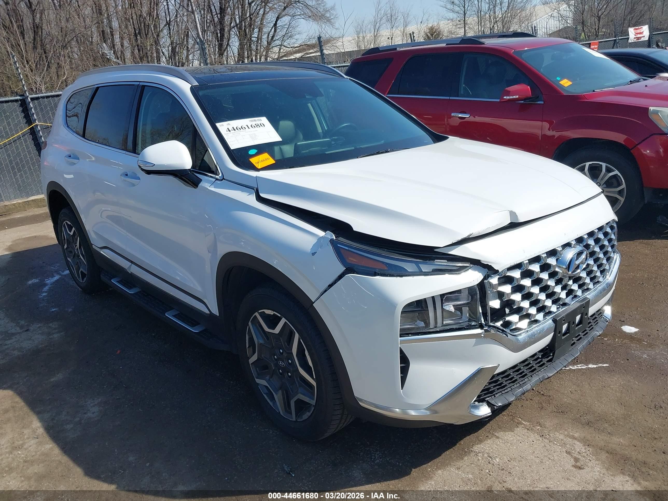 2023 Hyundai Santa Fe Hybrid VIN 5NMS3DA11PH018452 — IAAI salvage auction photo