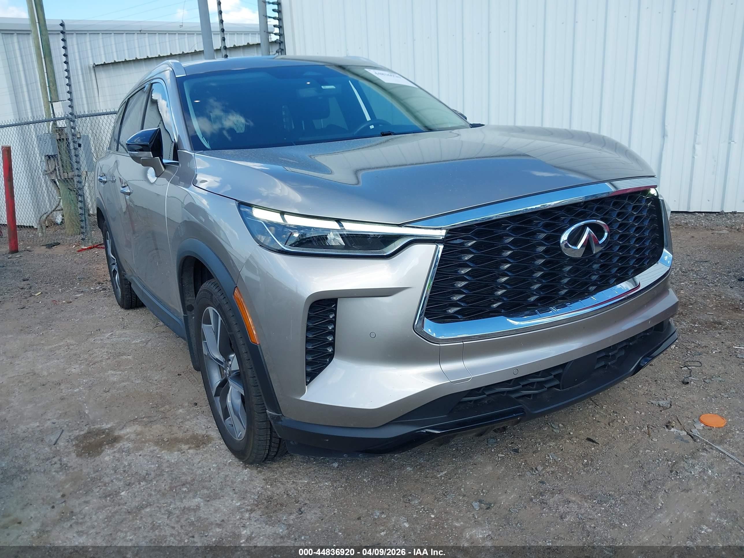 2023 Infiniti QX60 VIN 5N1DL1FR8PC359573 — IAAI salvage auction photo