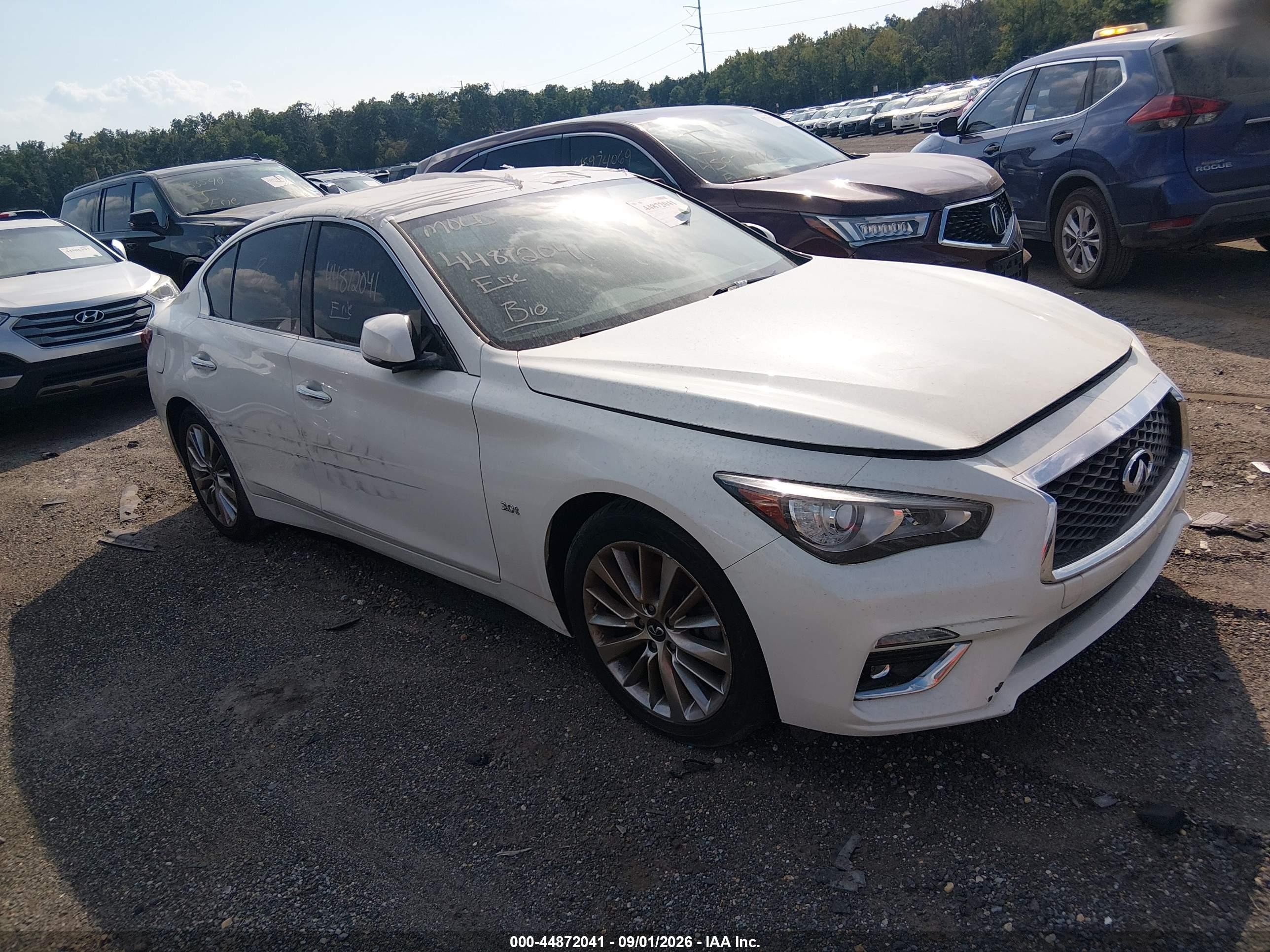 2019 Infiniti Q50 VIN JN1EV7ARXKM590882 — IAAI salvage auction photo