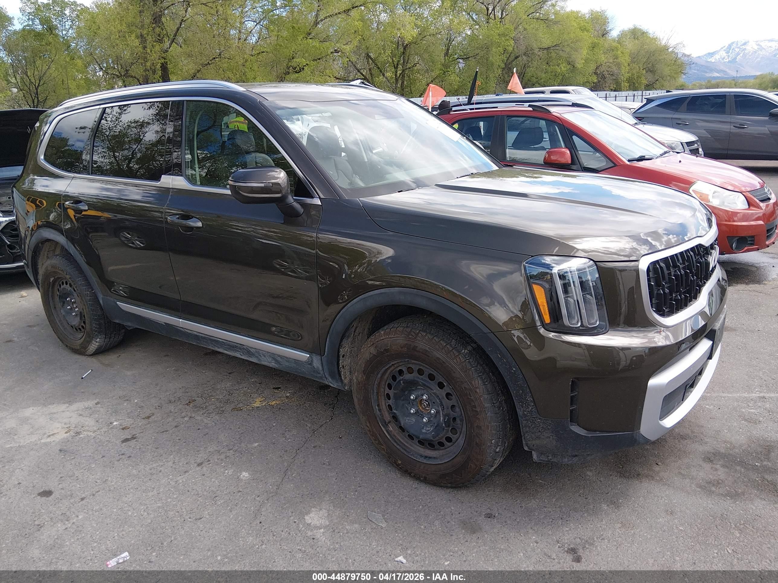 2025 Kia Telluride VIN 5XYP3DGC0SG637464 IAAI salvage auction — Theft, Salvage (Idaho), sold $17,300 on 2026-07-09 (photo 1)