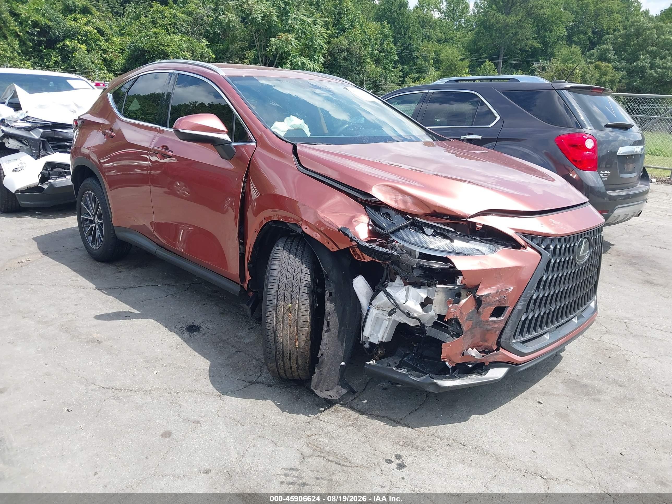 2025 Lexus NX 250 VIN 2T2ADCAZ4SC031215 — IAAI salvage auction photo