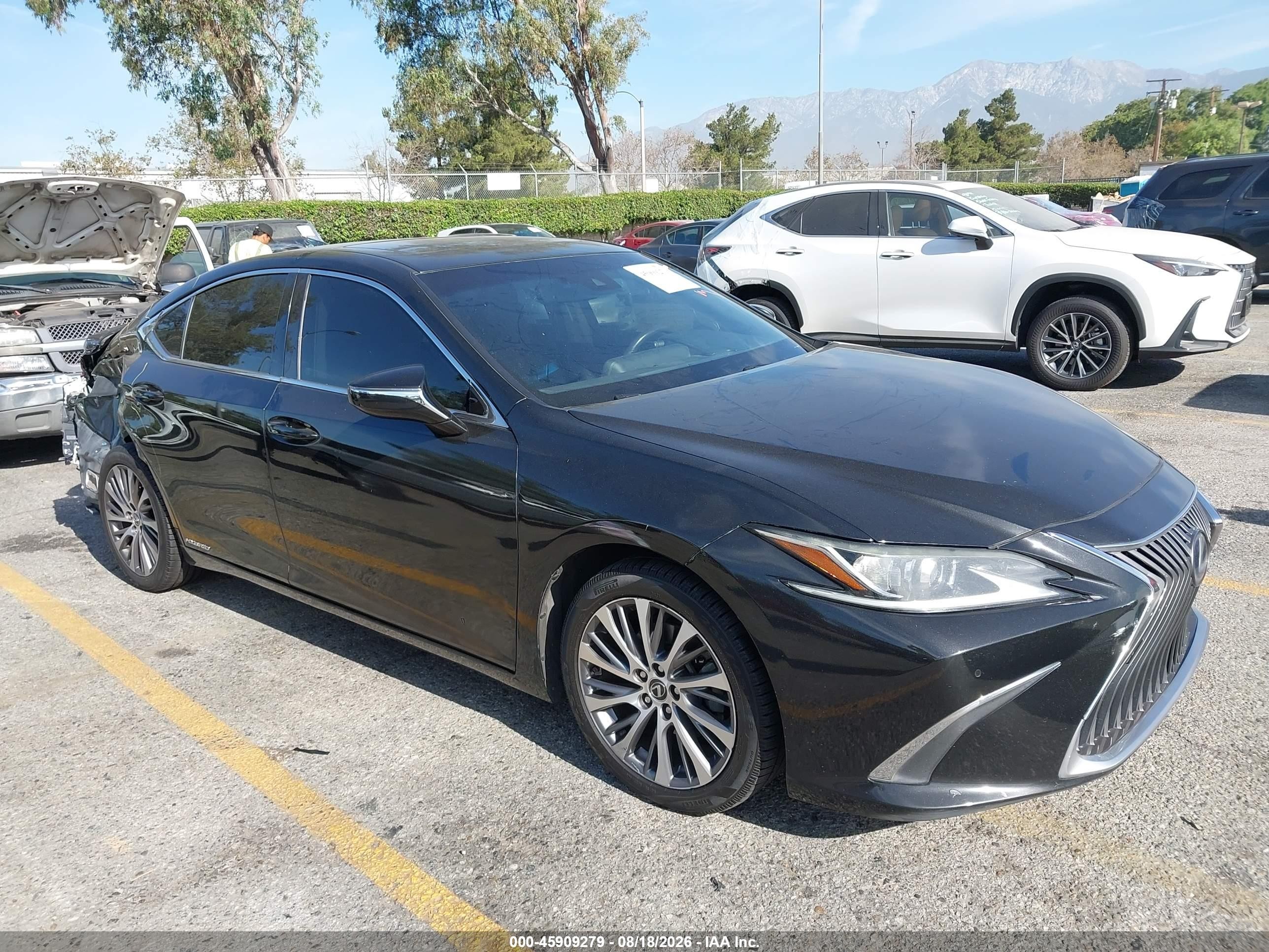 2019 Lexus ES 300h VIN 58AB21B15KU002423 — IAAI salvage auction photo