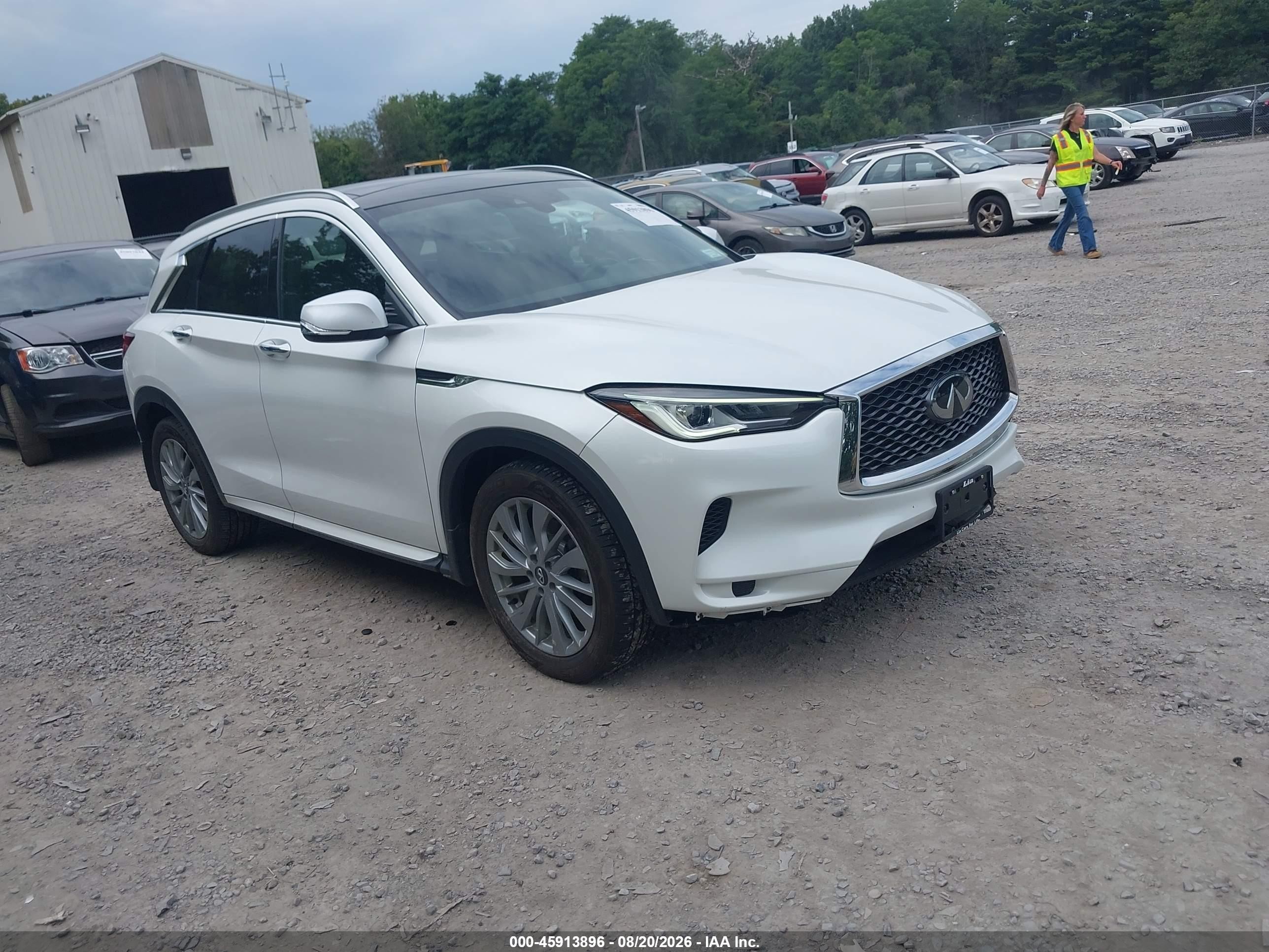 2023 Infiniti QX50 VIN 3PCAJ5BBXPF110594 — IAAI salvage auction photo