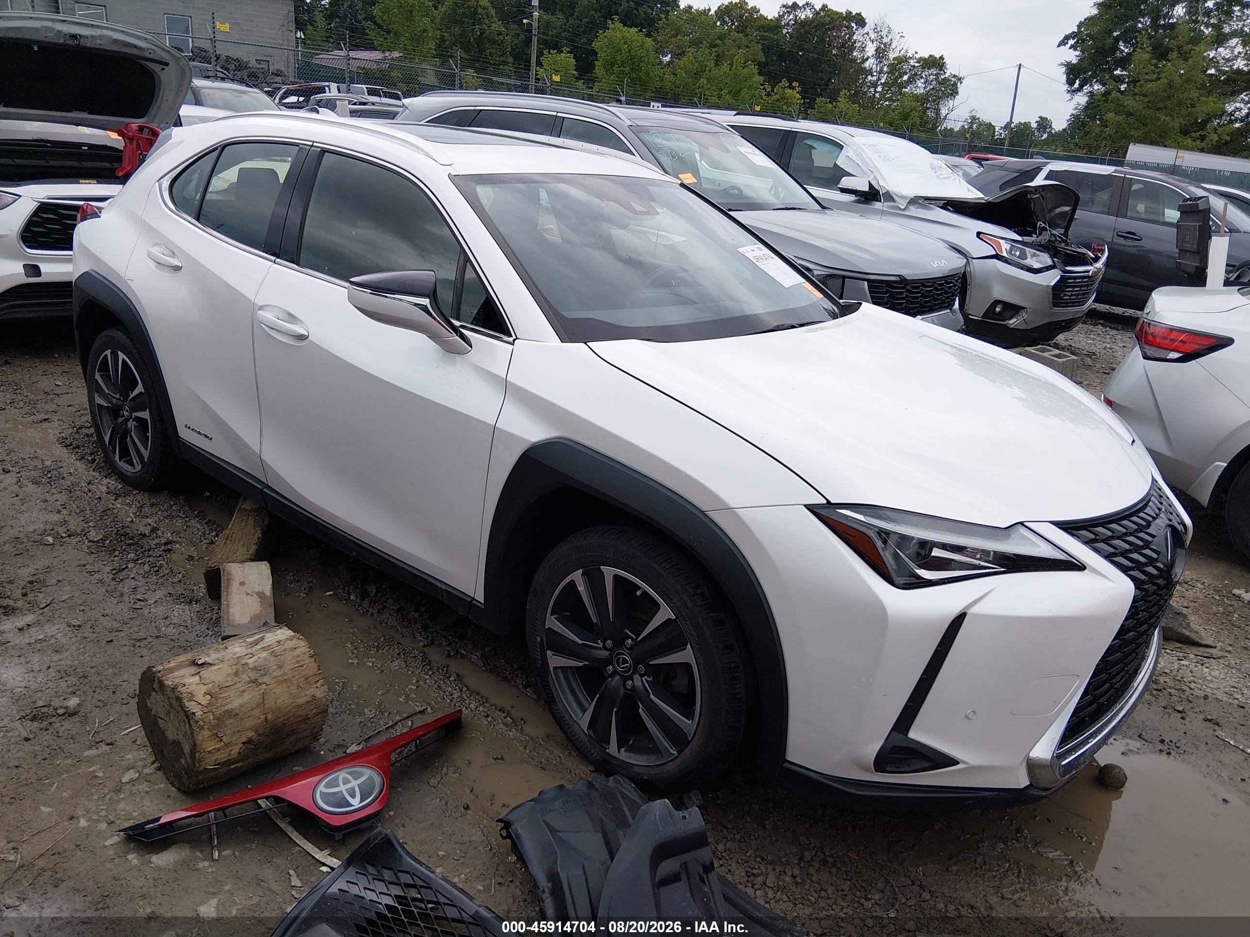 2020 Lexus UX 250h VIN JTHP9JBH1L2024411 — IAAI salvage auction photo