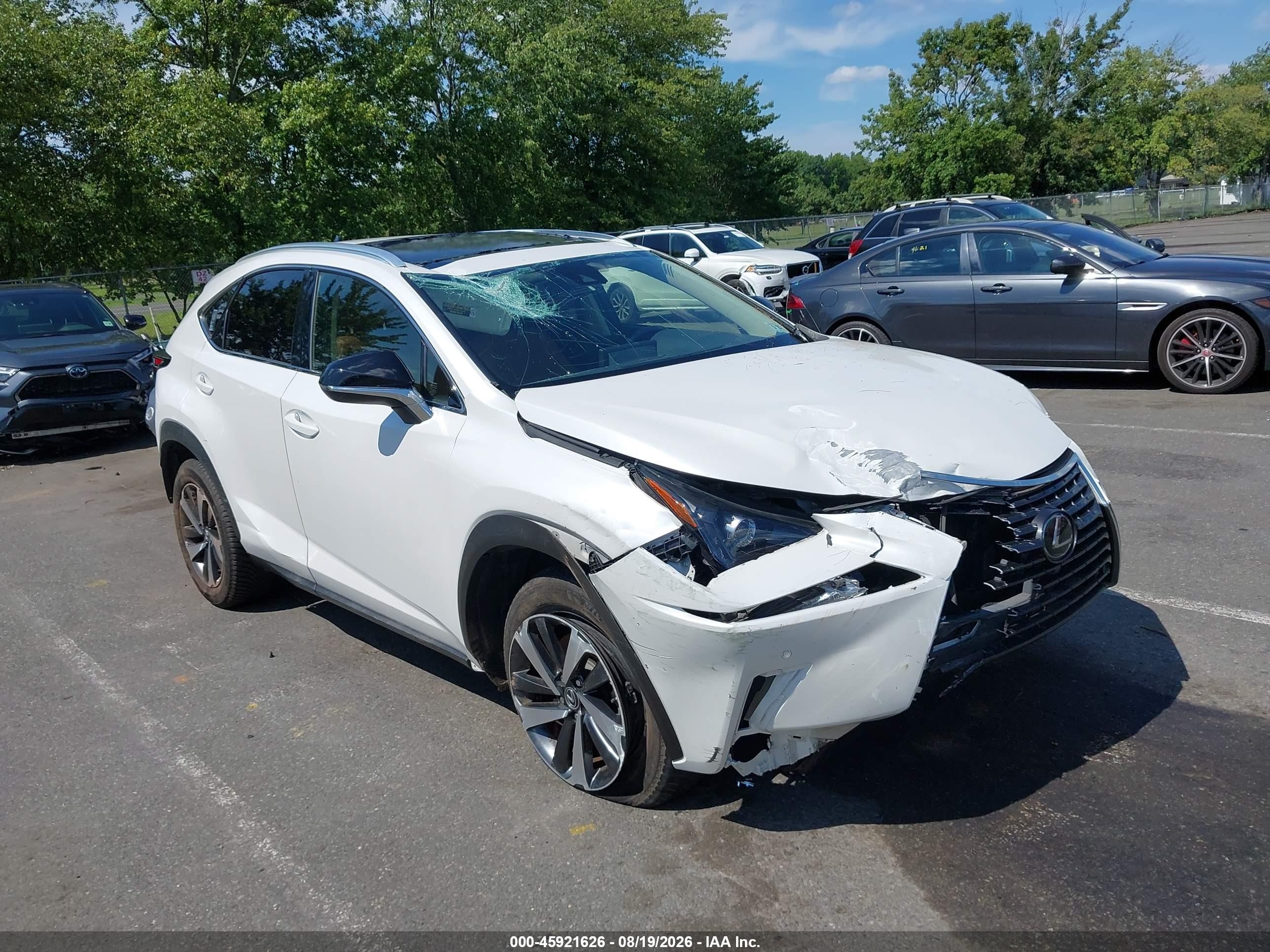 2020 Lexus NX 300 VIN JTJGARDZ5L5012013 — IAAI salvage auction photo