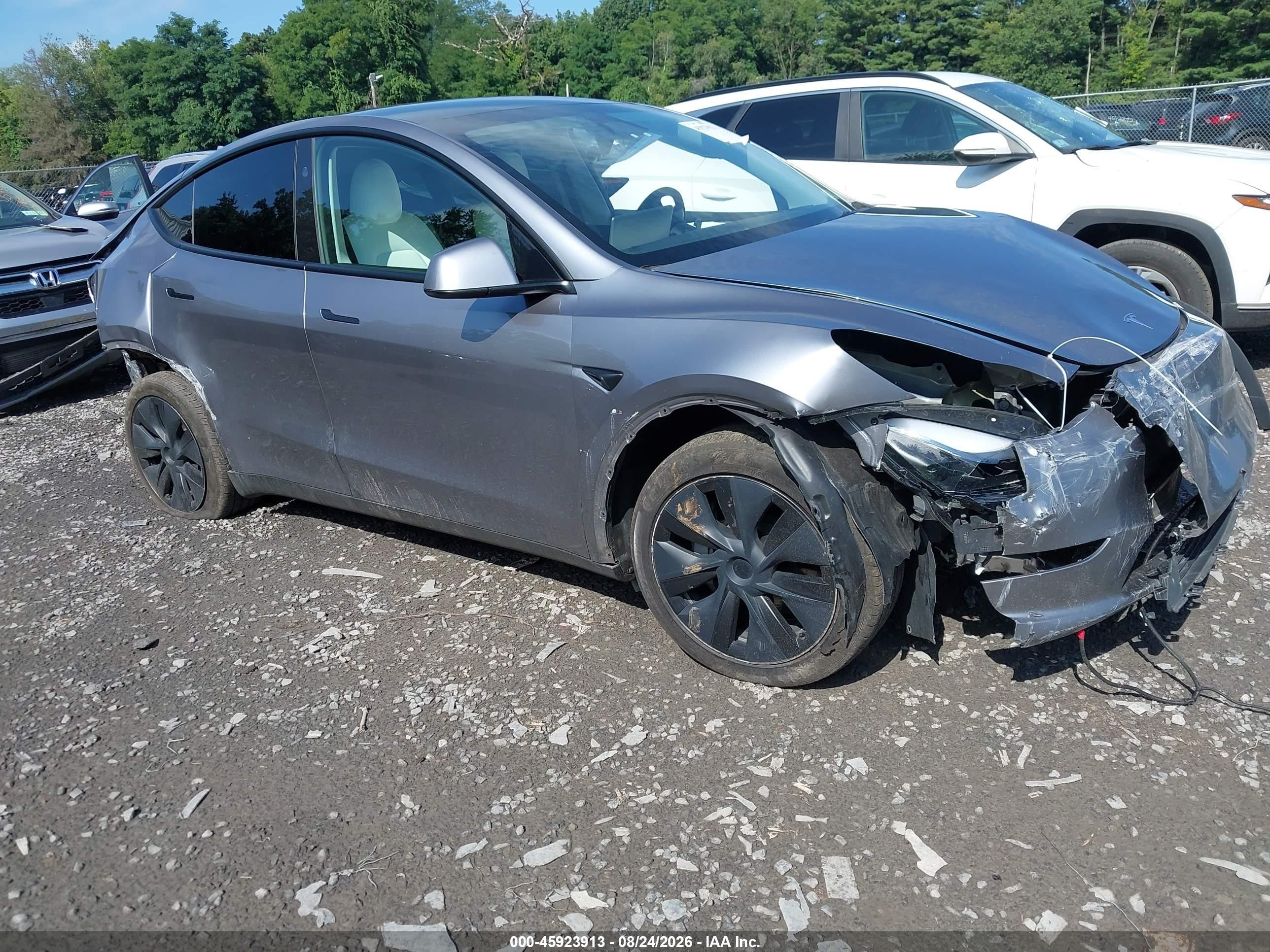 2024 Tesla Model Y VIN 7SAYGDEE0RA319259 — IAAI salvage auction photo
