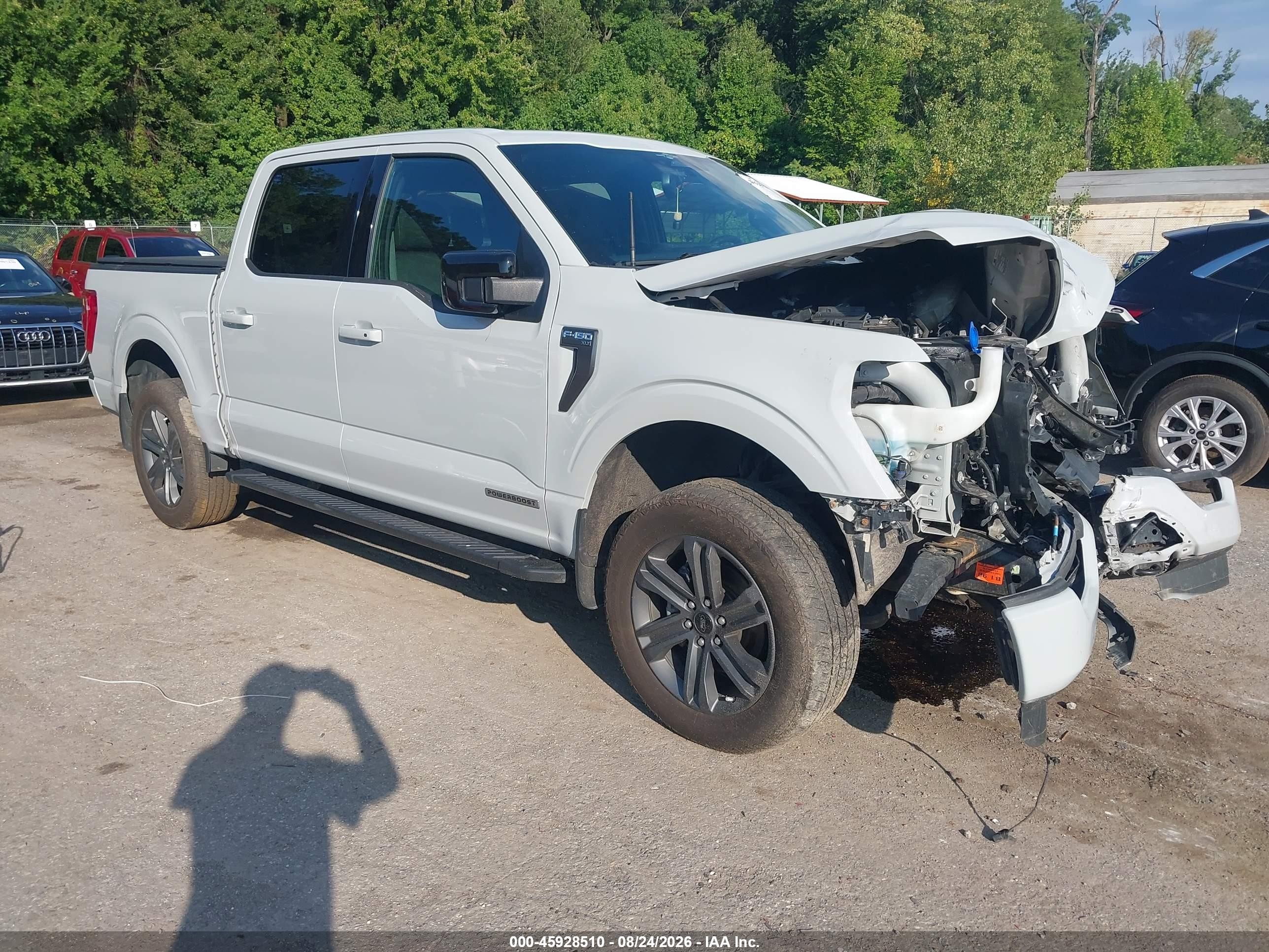 2023 Ford F-150 VIN 1FTFW1ED2PFC66296 — IAAI salvage auction photo