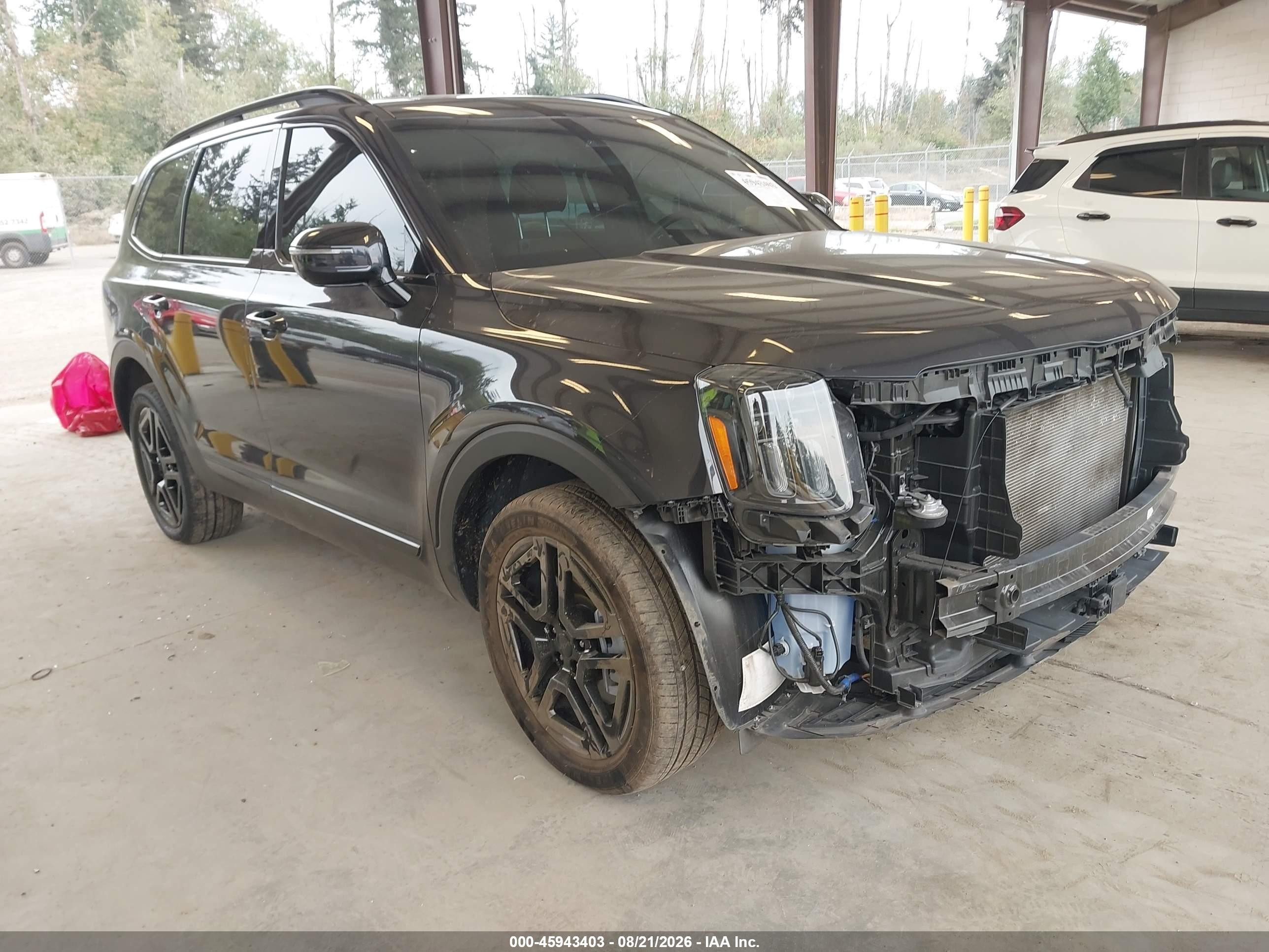 2025 Kia Telluride VIN 5XYP5DGC0SG698291 — IAAI salvage auction photo