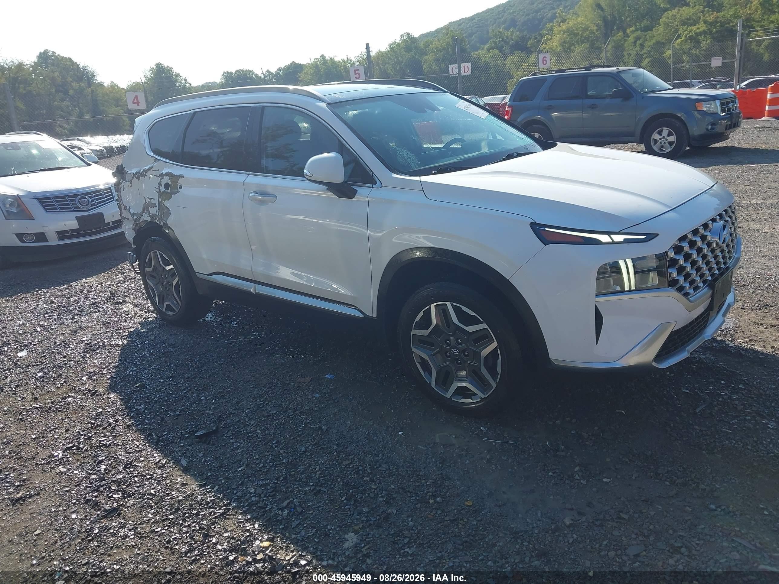 2022 Hyundai Santa Fe Hybrid VIN KM8S3DA15NU044246 — IAAI salvage auction photo