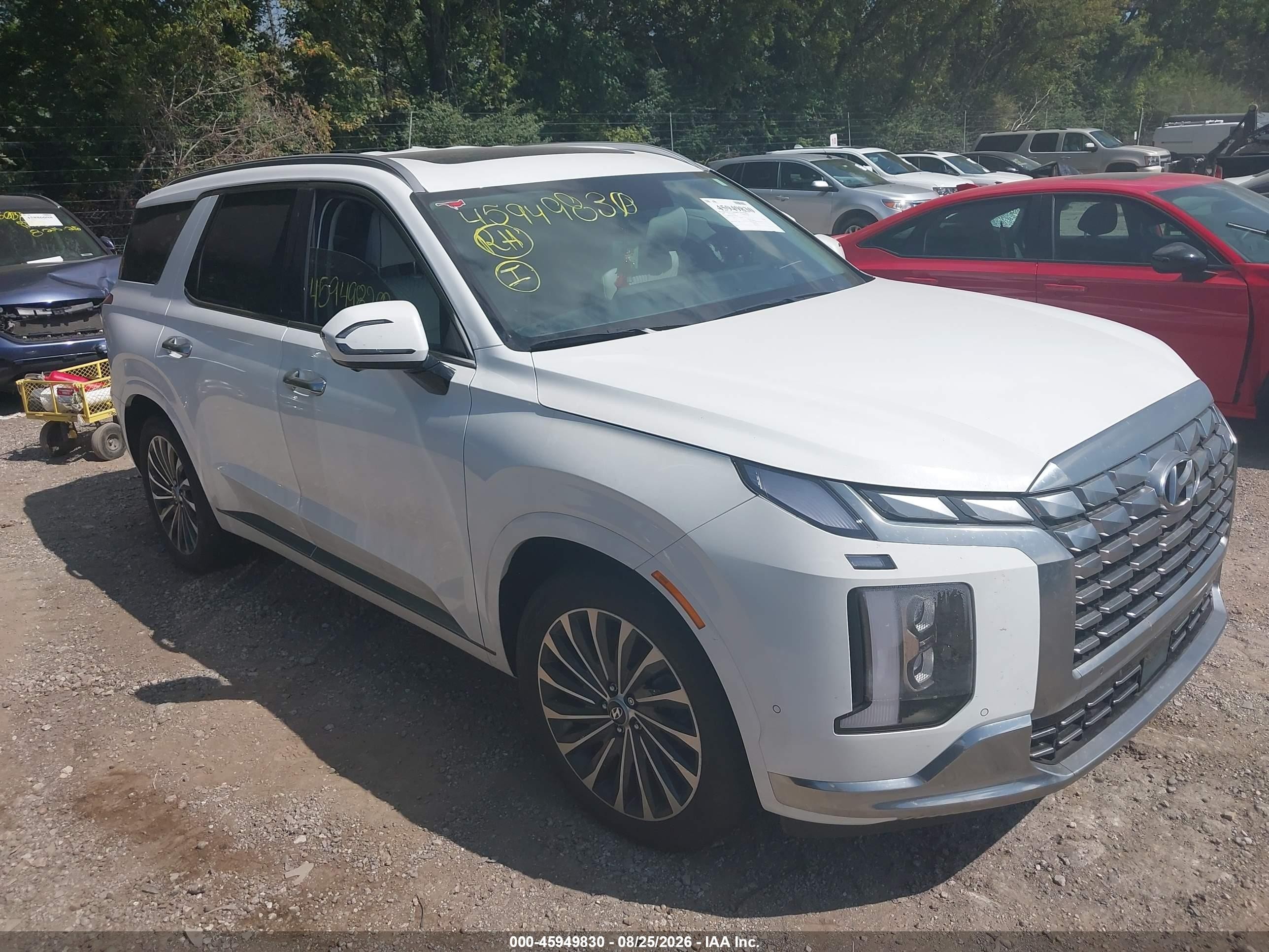 2025 Hyundai Palisade VIN KM8R7DGE2SU887264 — IAAI salvage auction photo