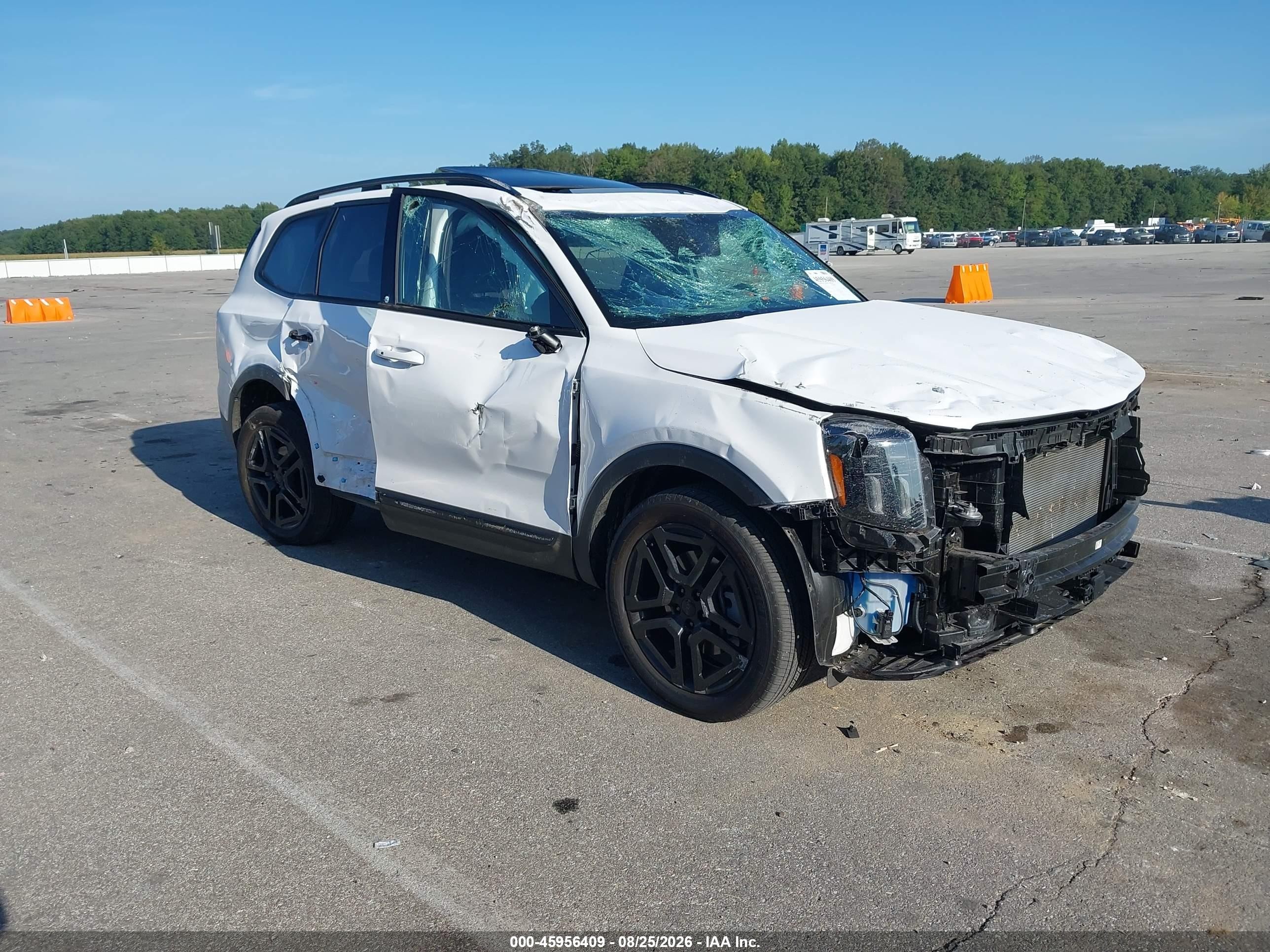 2025 Kia Telluride VIN 5XYP3DGC4SG725949 — IAAI salvage auction photo