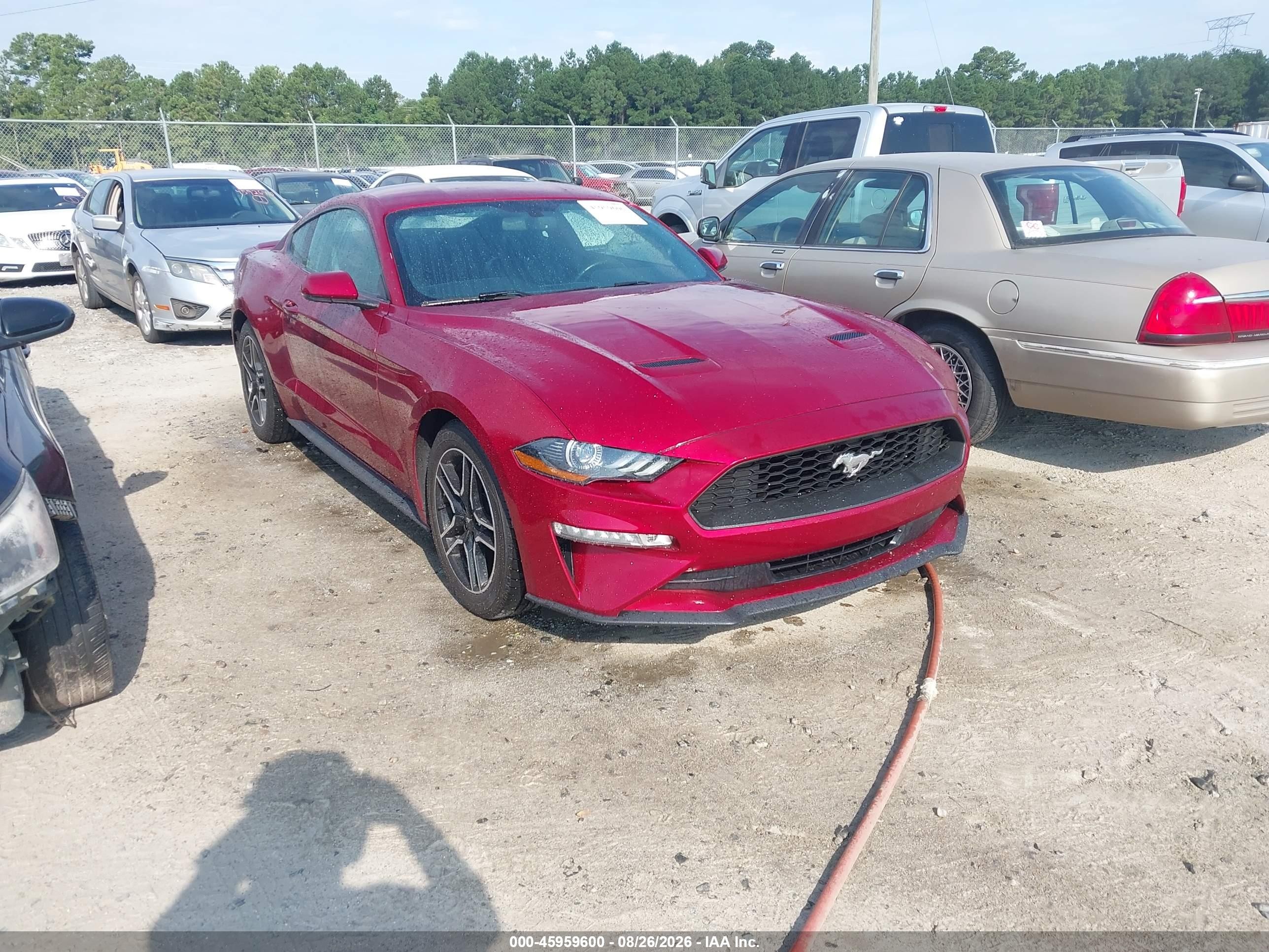 2019 Ford Mustang VIN 1FA6P8TH2K5116477 — IAAI salvage auction photo