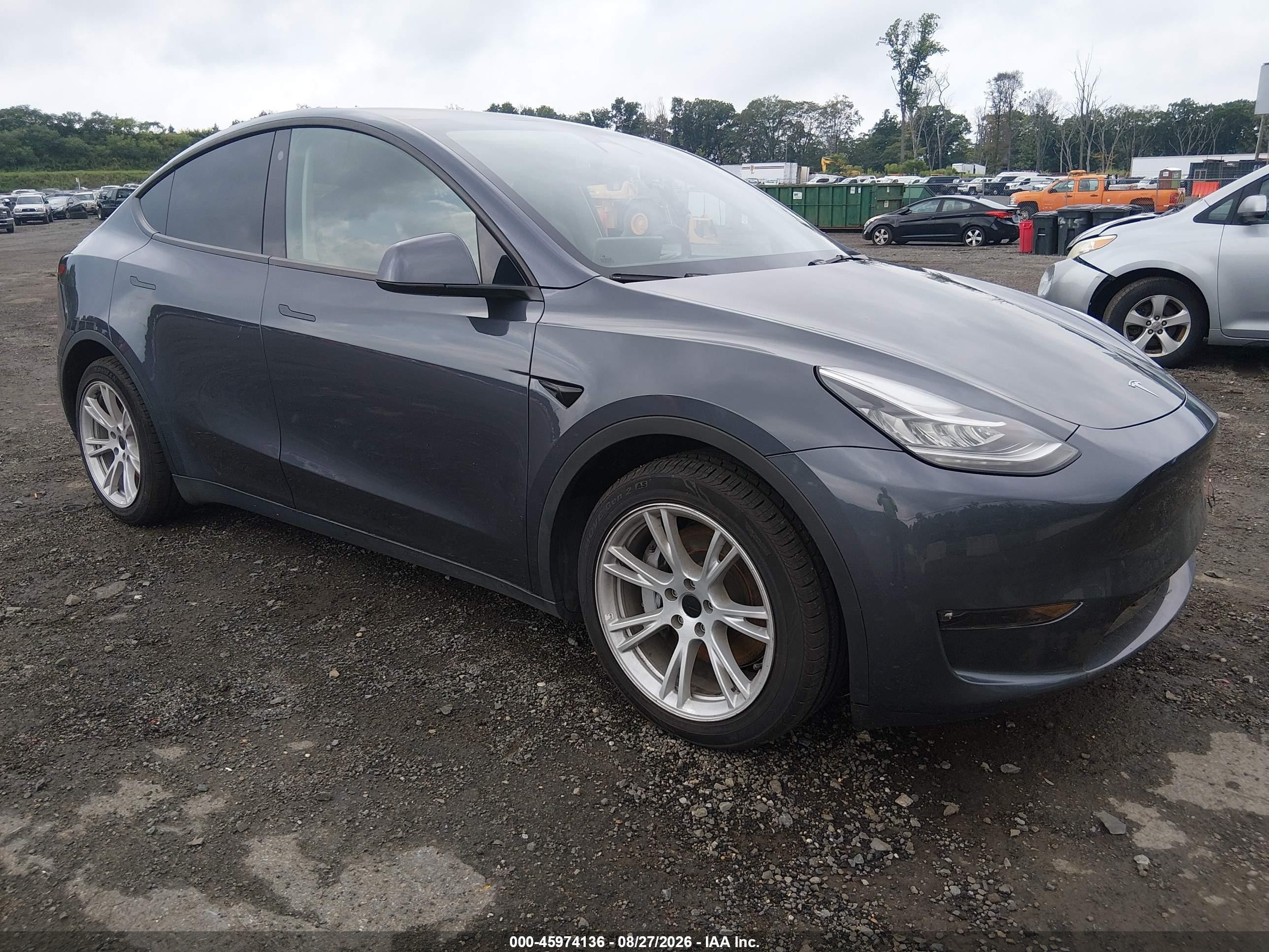 2023 Tesla Model Y VIN 7SAYGAEE3PF599029 — IAAI salvage auction photo