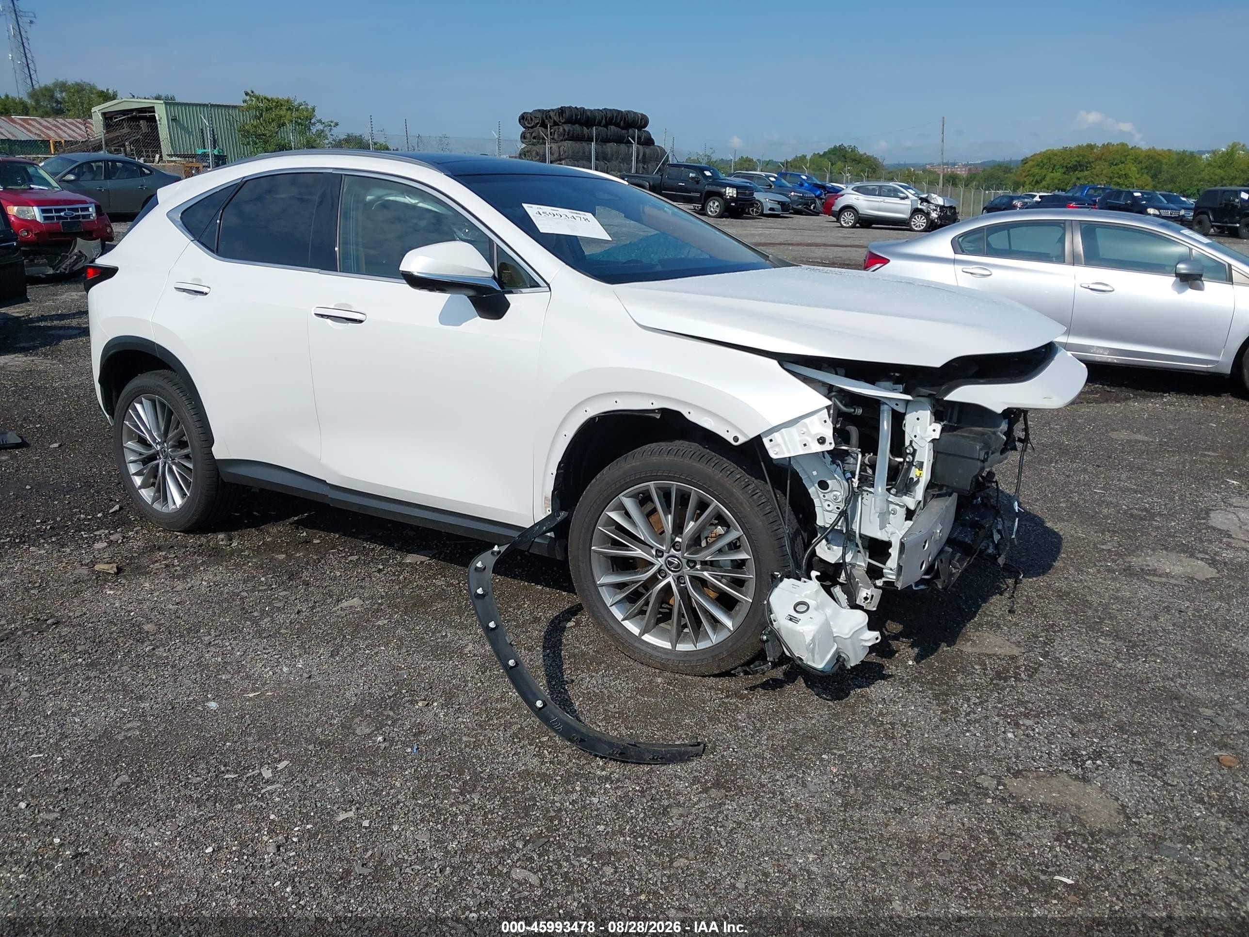 2024 Lexus NX 350h VIN JTJHKCEZ1R5010104 — IAAI salvage auction photo