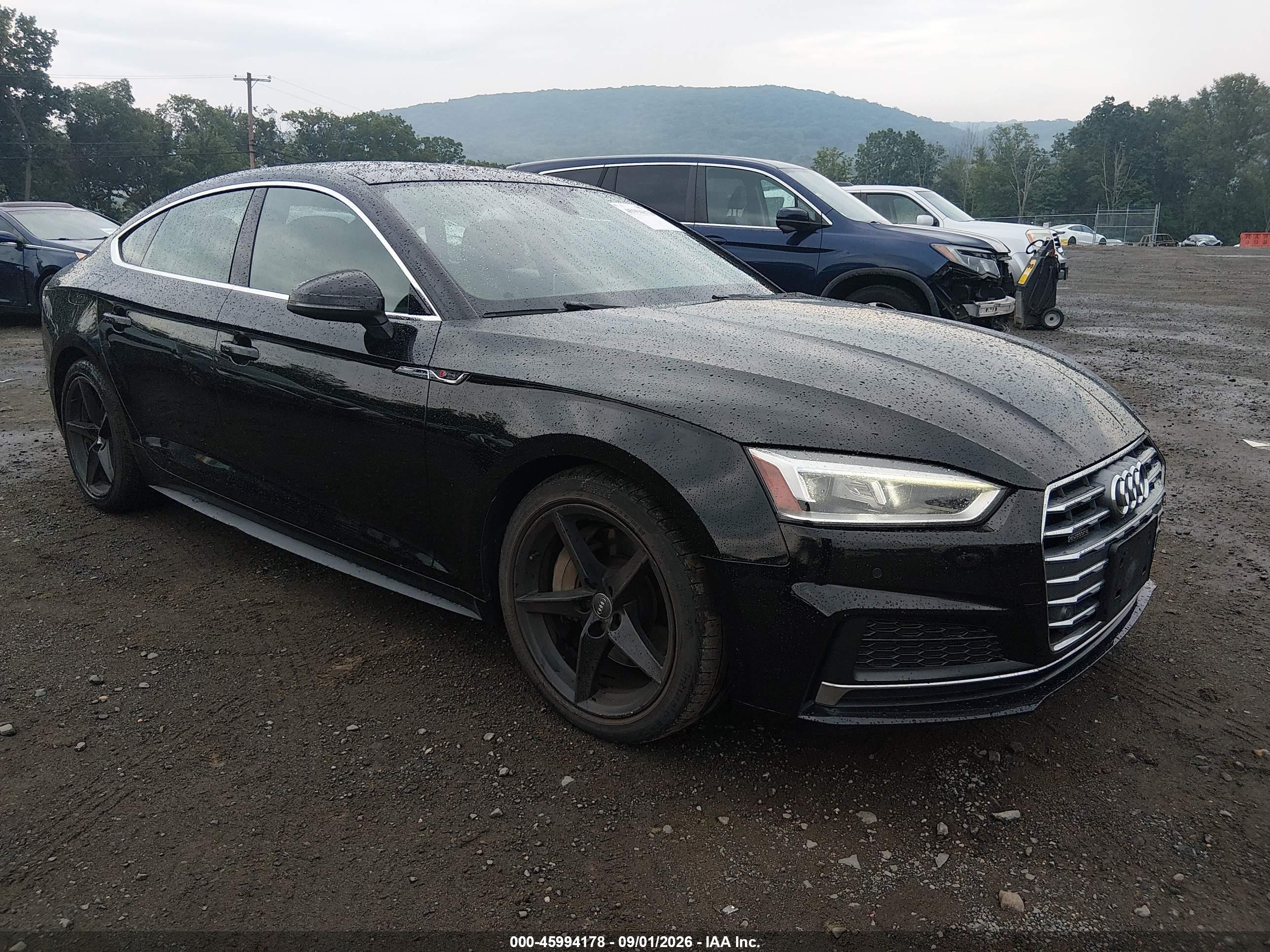 2018 Audi A5 VIN WAUENCF50JA073079 — IAAI salvage auction photo