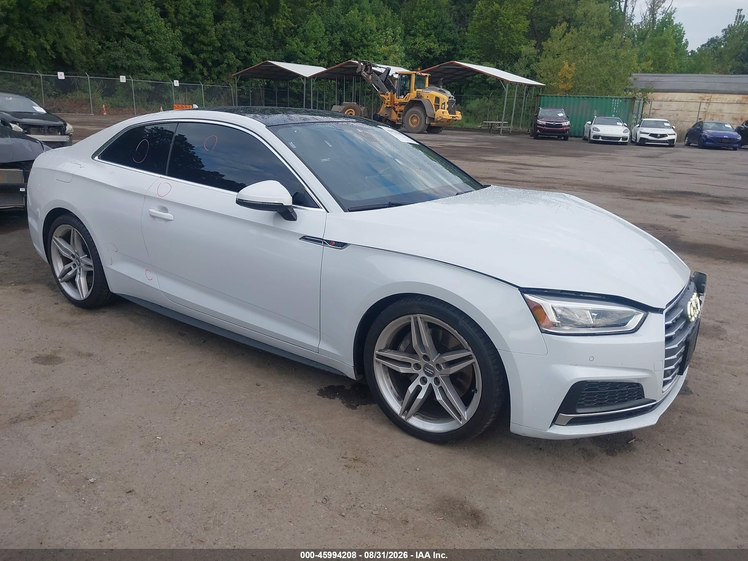 2019 Audi A5 VIN WAUTNAF5XKA031998 — IAAI salvage auction photo