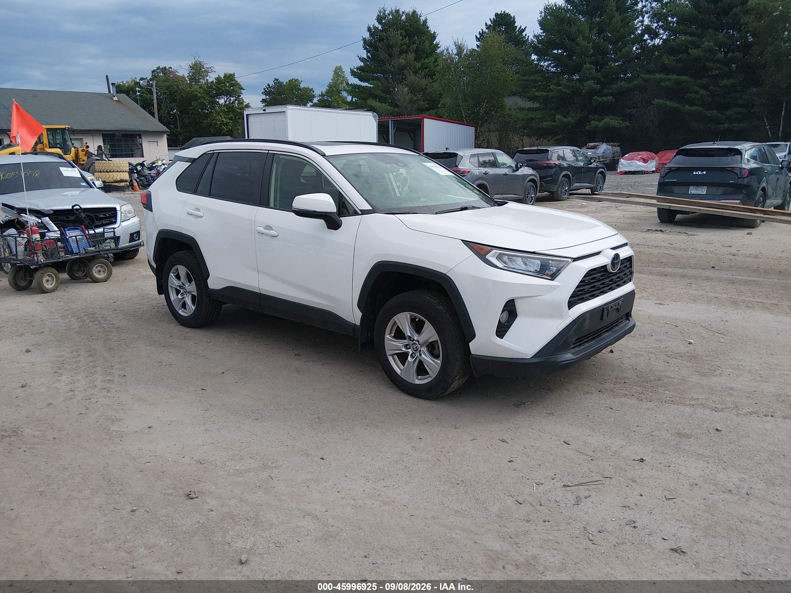 2019 Toyota RAV4 VIN JTMP1RFV8KD523782 — IAAI salvage auction photo