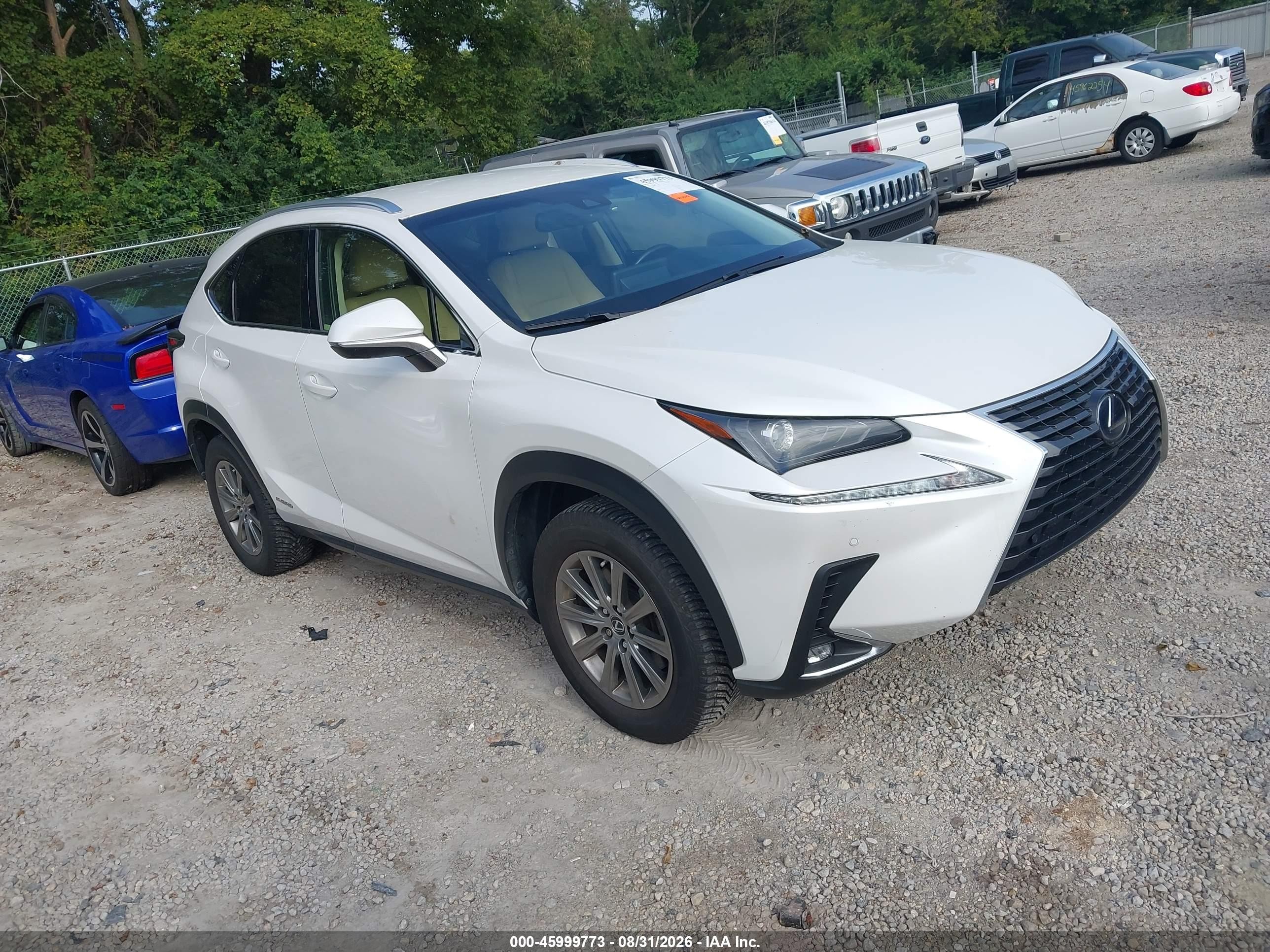 2018 Lexus NX 300h VIN JTJBJRBZ3J2076854 — IAAI salvage auction photo