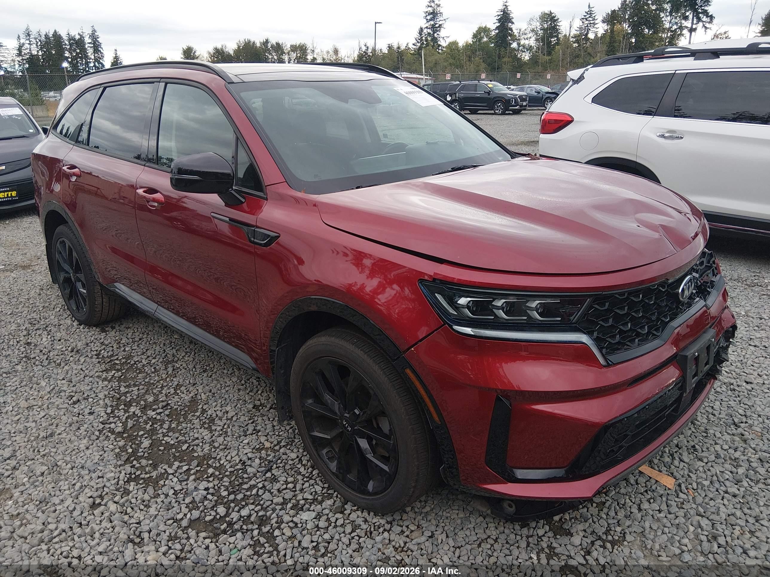 2021 Kia Sorento VIN 5XYRKDLF5MG059201 — IAAI salvage auction photo