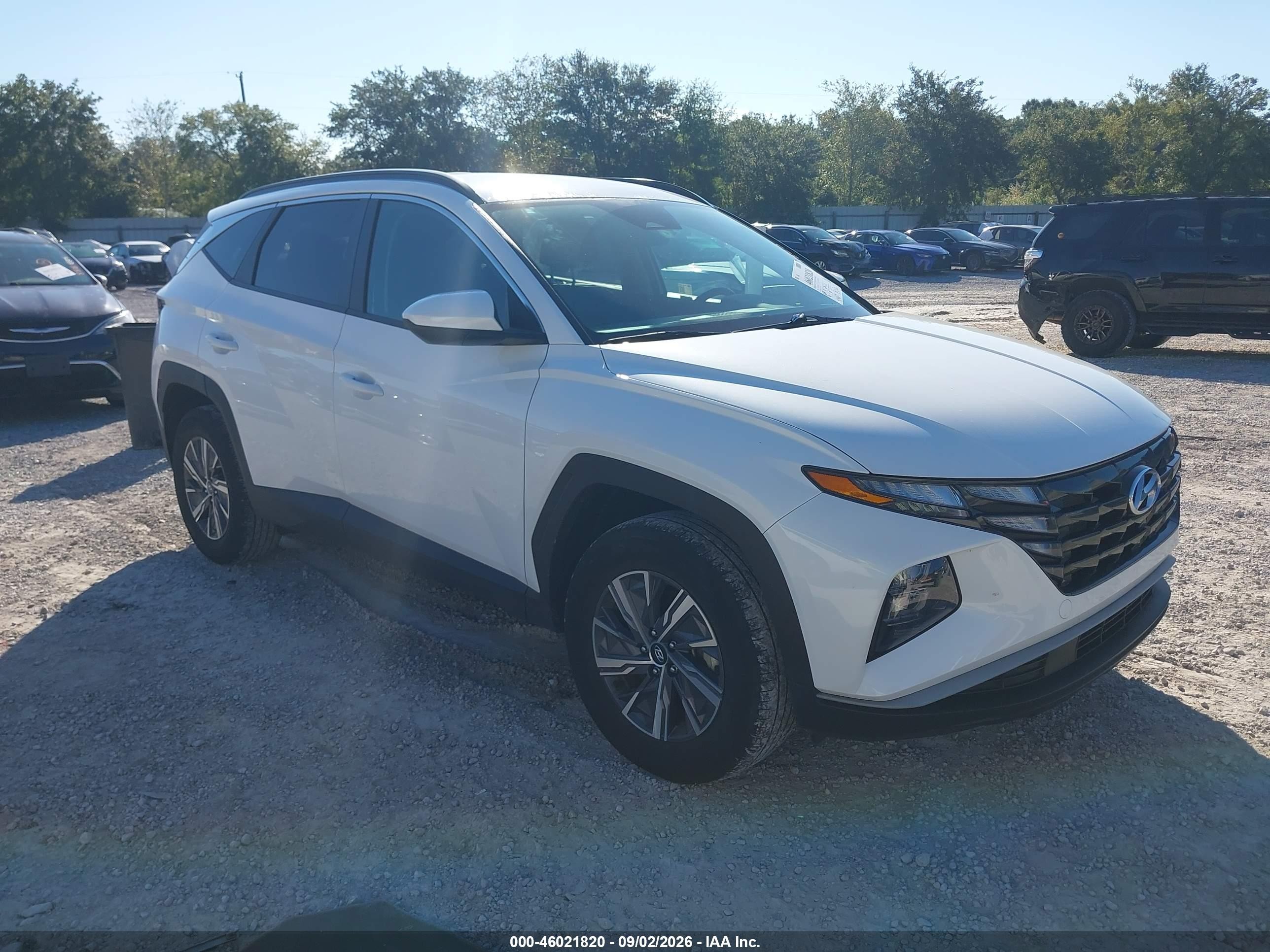 2024 Hyundai Tucson Hybrid VIN KM8JBCD1XRU236031 — IAAI salvage auction photo
