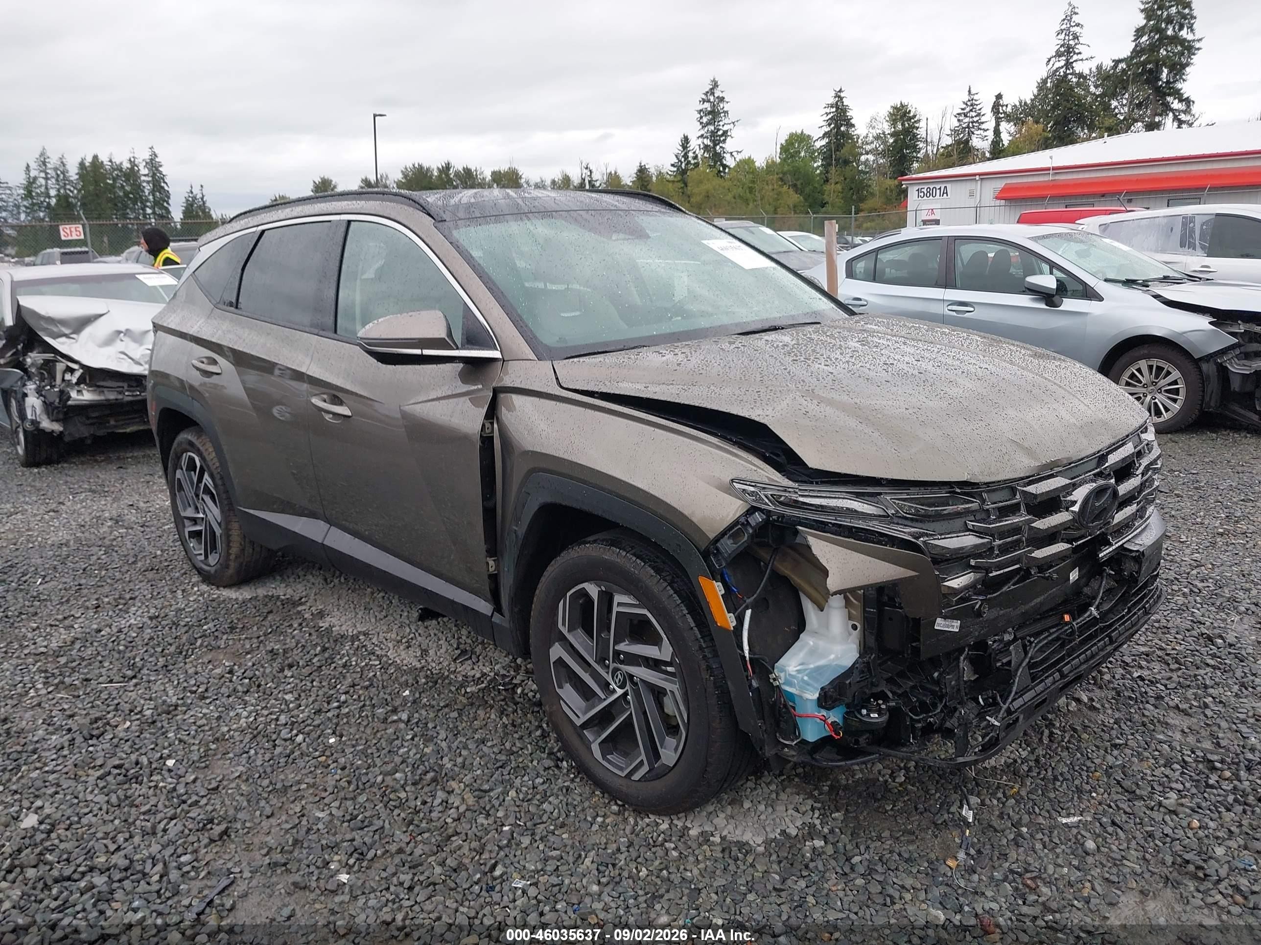 2025 Hyundai Tucson Hybrid VIN KM8JEDD11SU384605 — IAAI salvage auction photo