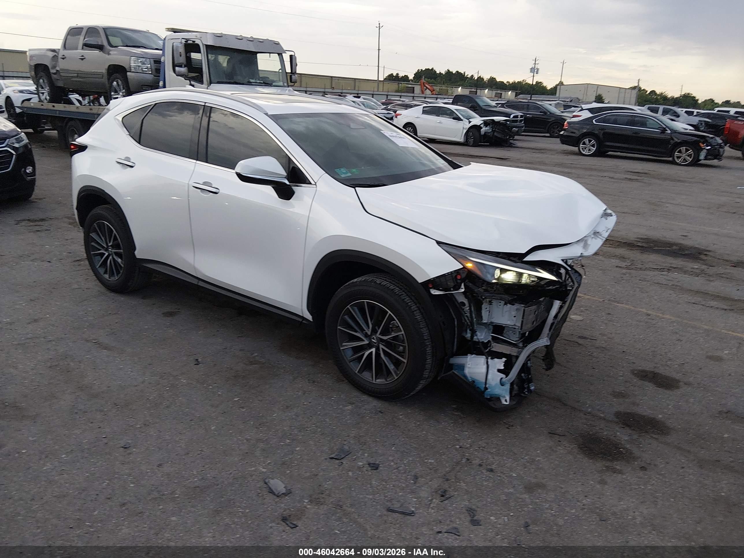 2025 Lexus NX 250 VIN 2T2GDCAZ1SC027827 — IAAI salvage auction photo