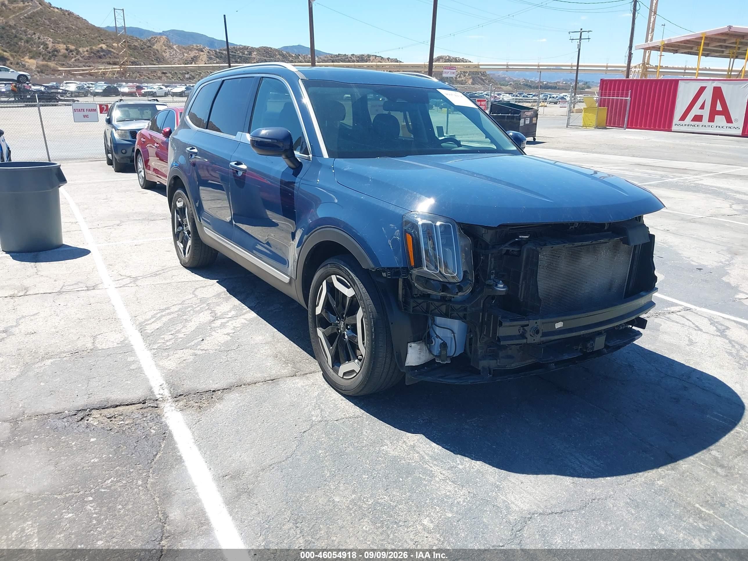 2024 Kia Telluride VIN 5XYP64GC9RG538997 — IAAI salvage auction photo