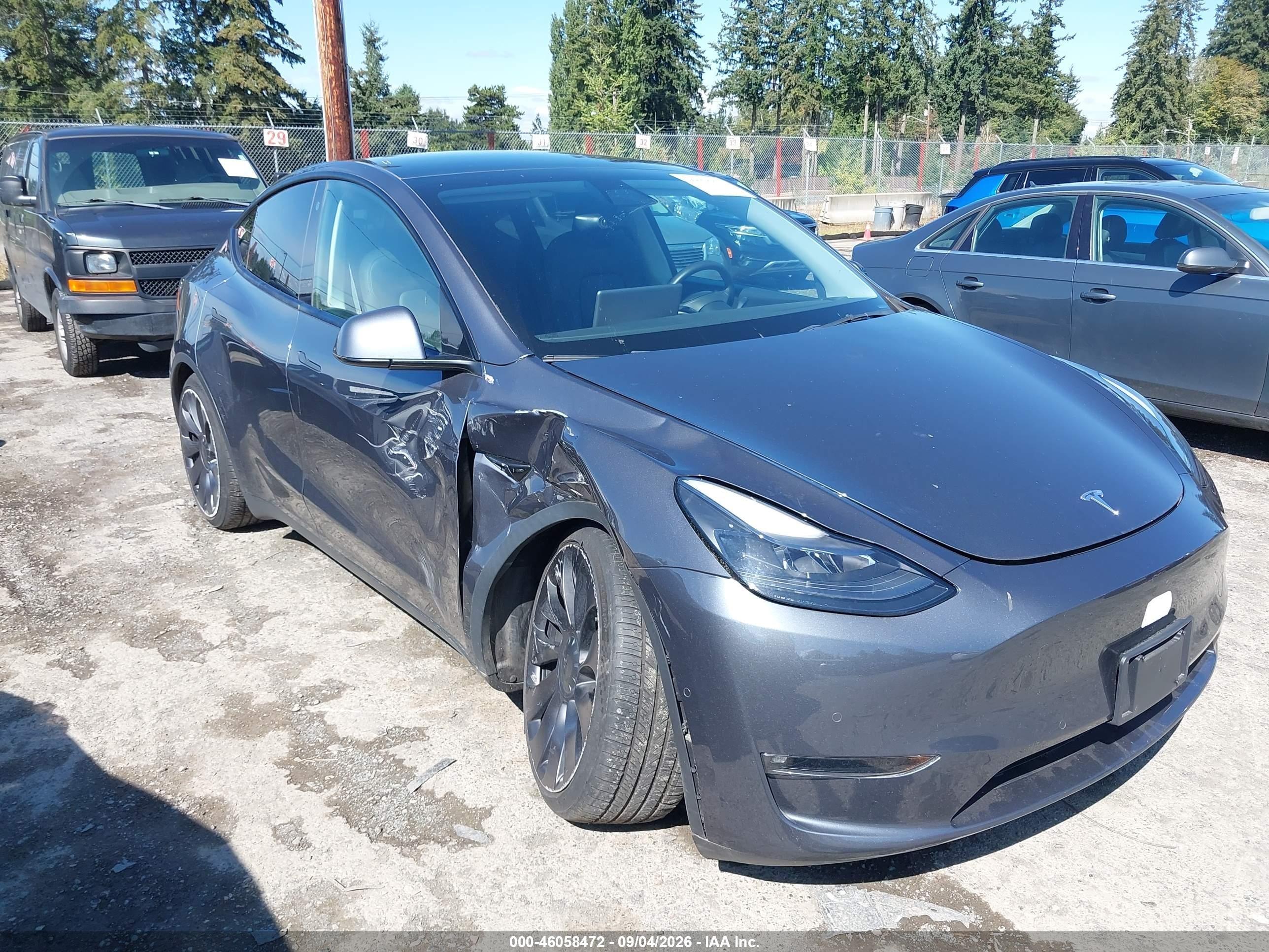 2022 Tesla Model Y VIN 7SAYGDEFXNF375859 — IAAI salvage auction photo