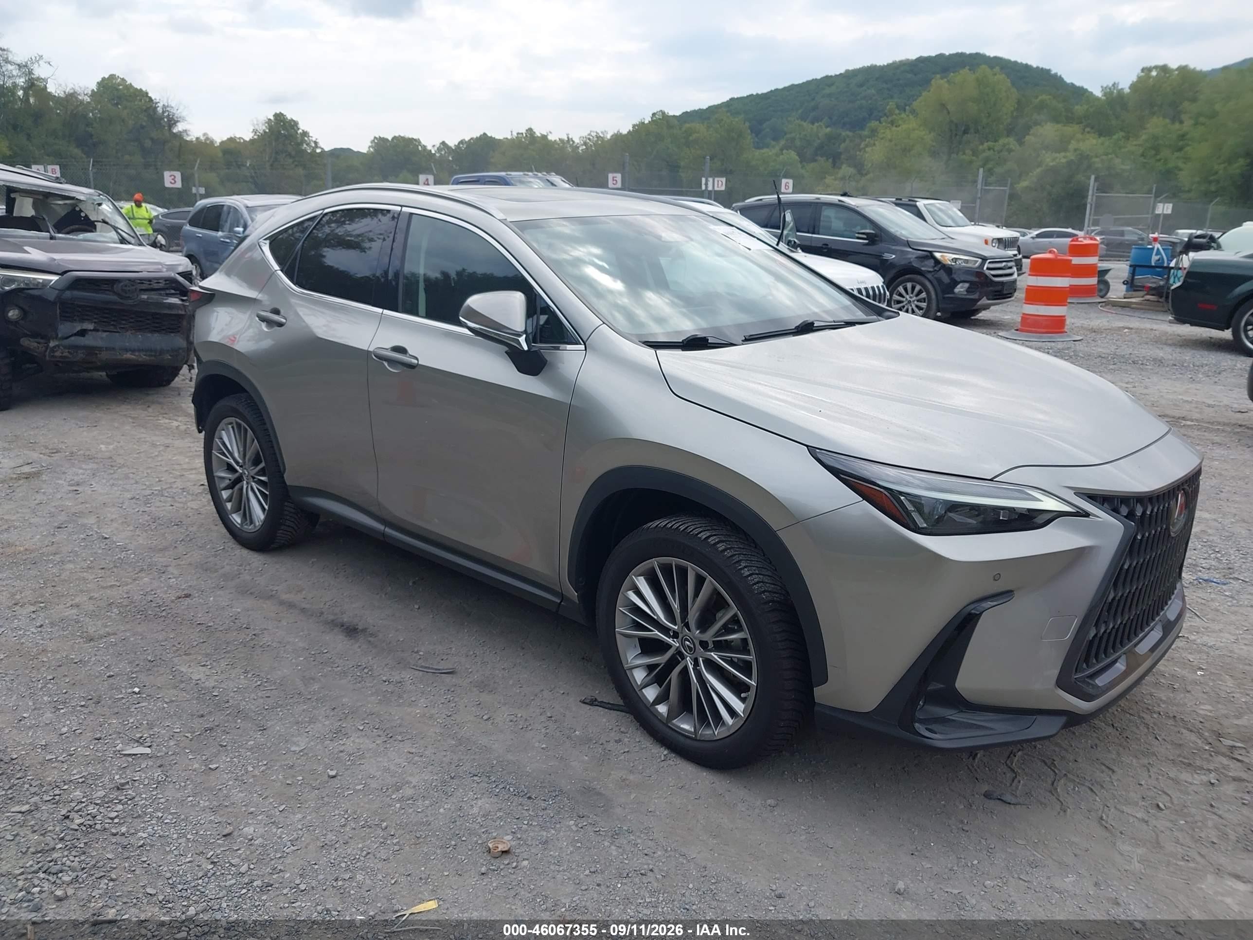 2022 Lexus NX 350 VIN JTJGGCEZ9N2005547 — IAAI salvage auction photo