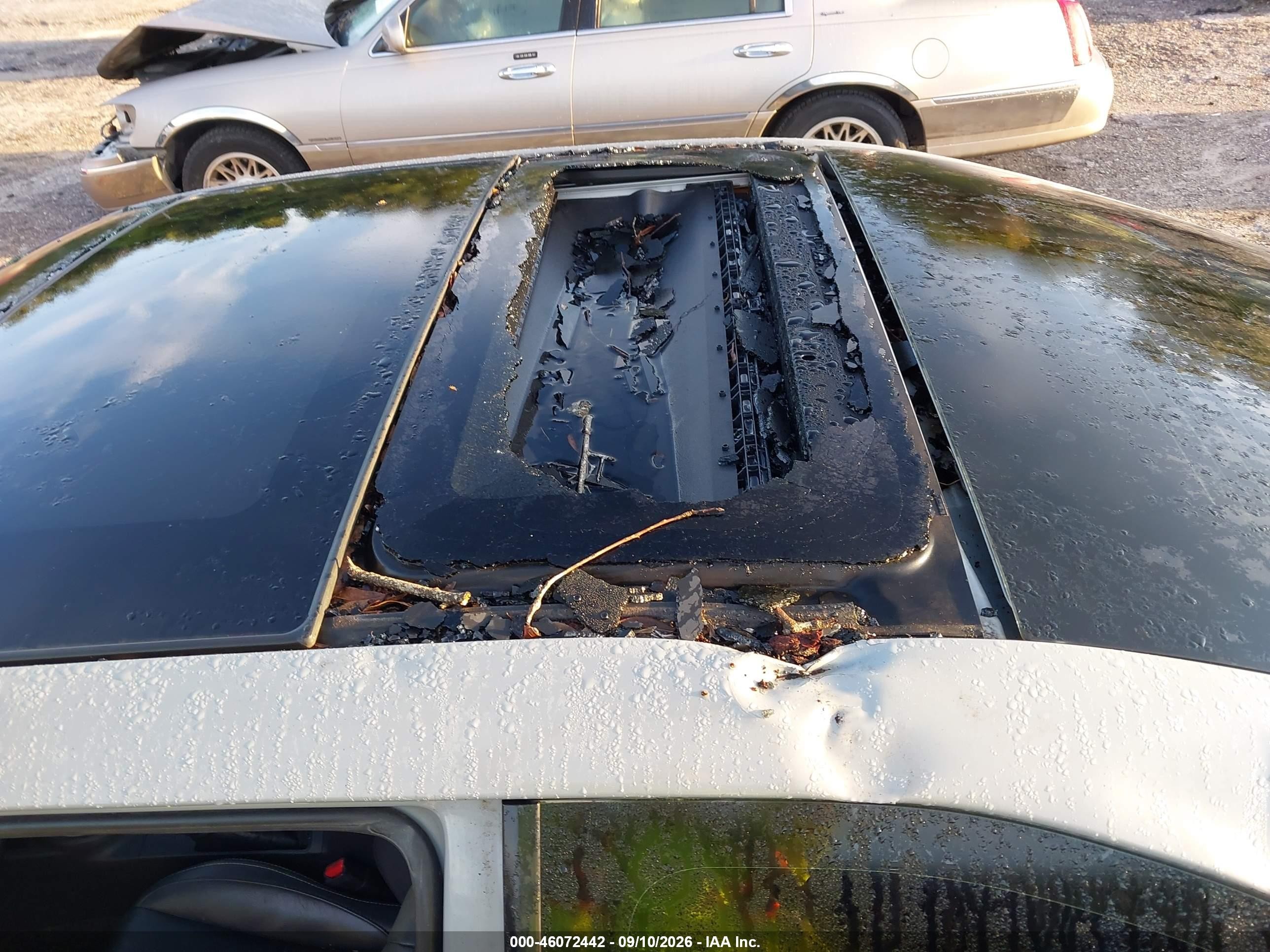 2013 Scion tC VIN JTKJF5C7XD3045288 IAAI salvage auction — Storm Damage, Rebuildable (Florida), sold $825 on 2026-09-17 (photo 6)