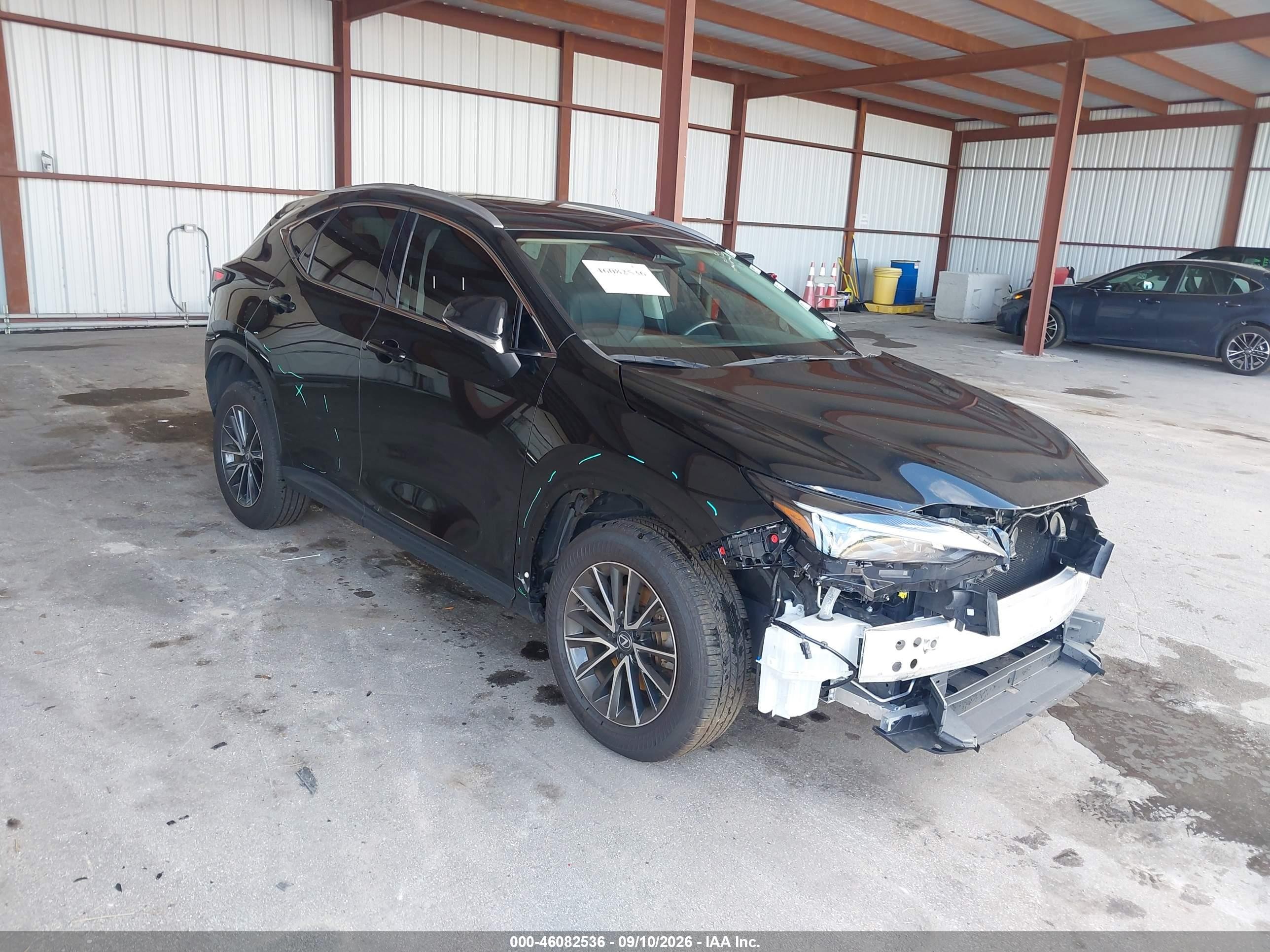 2025 Lexus NX 250 VIN 2T2ADCAZ5SC022362 — IAAI salvage auction photo