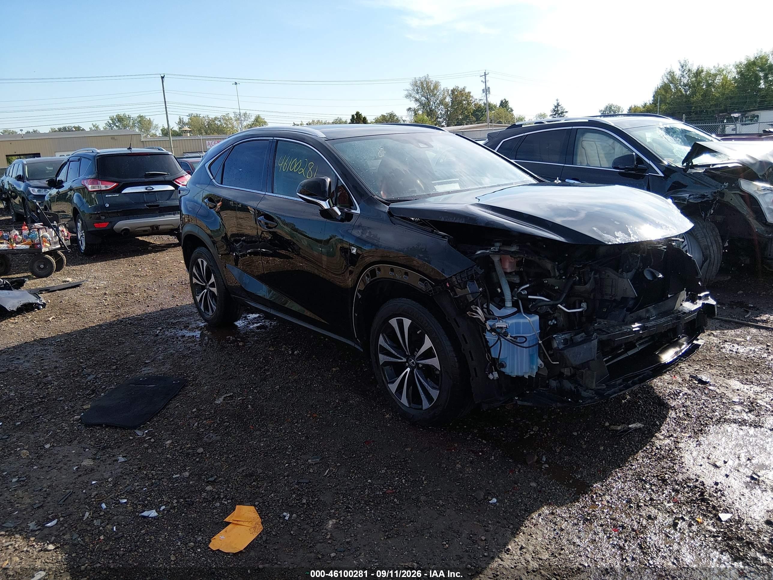 2020 Lexus NX 300 VIN JTJSARDZ9L5016351 — IAAI salvage auction photo