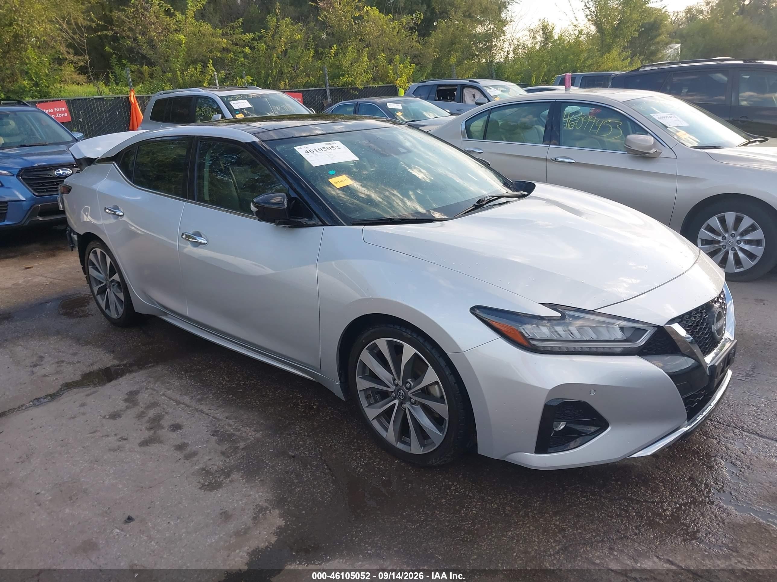 2023 Nissan Maxima VIN 1N4AA6FV2PC501770 — IAAI salvage auction photo