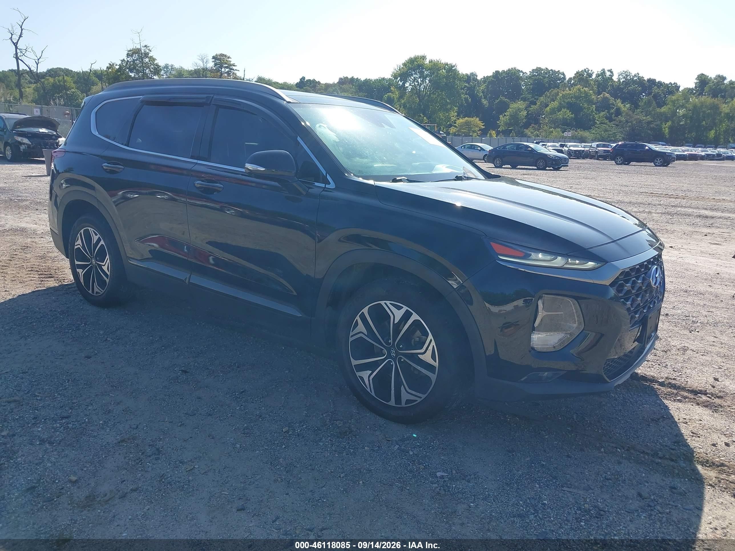 2020 Hyundai Santa Fe VIN 5NMS5CAA9LH182031 — IAAI salvage auction photo