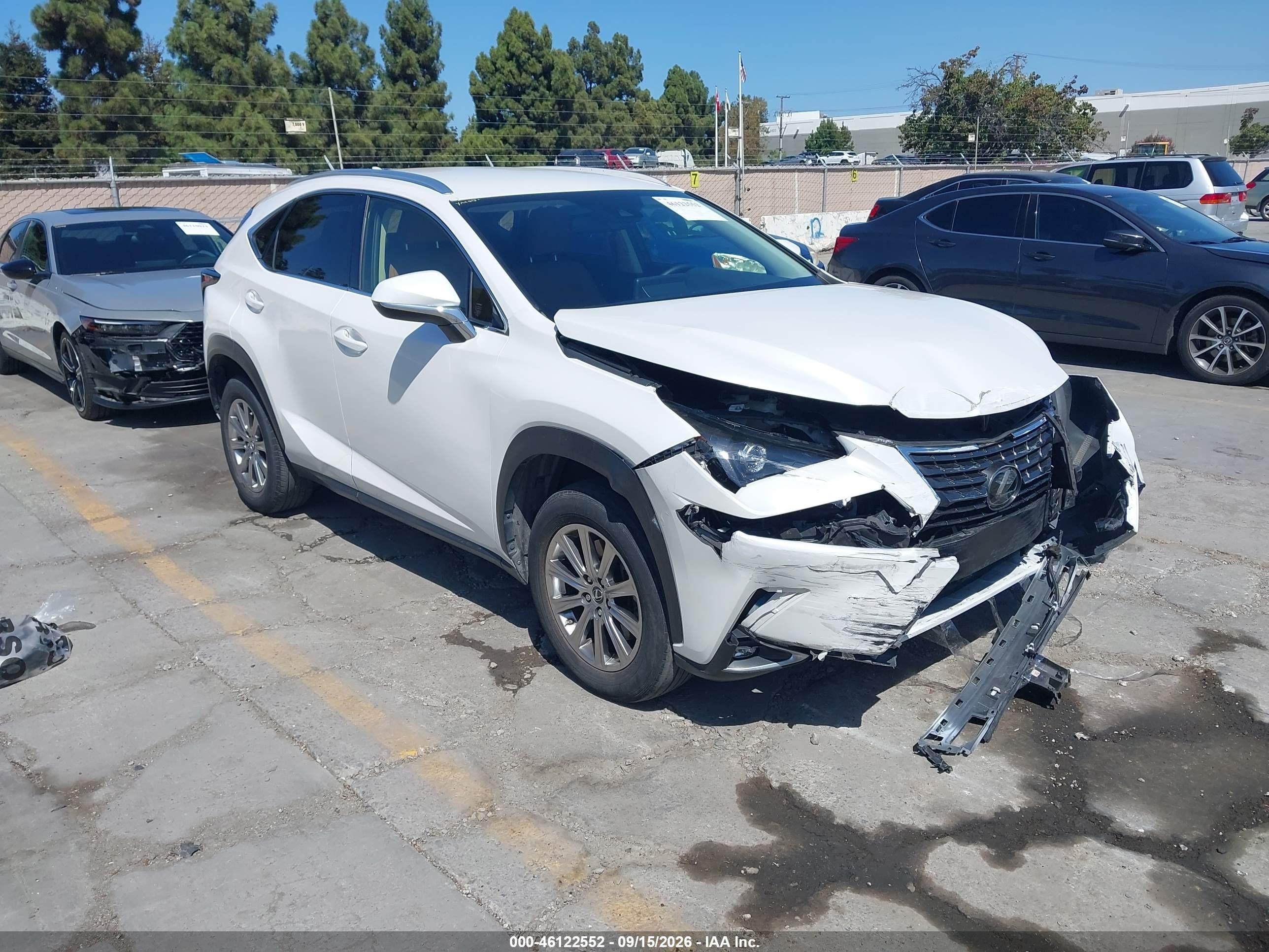 2021 Lexus NX 300 VIN JTJDARDZ2M5029906 — IAAI salvage auction photo